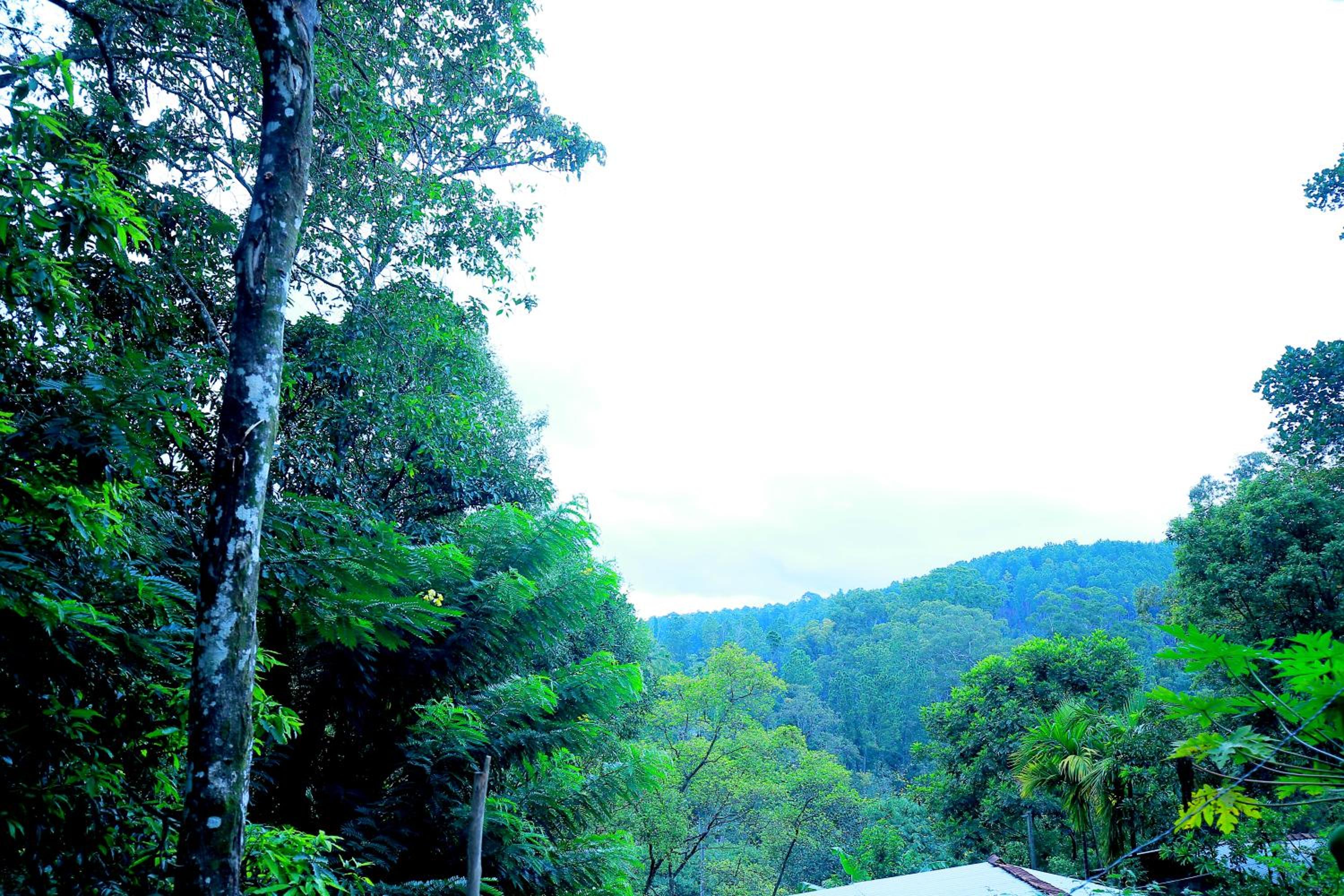 Secret Nest Homestay