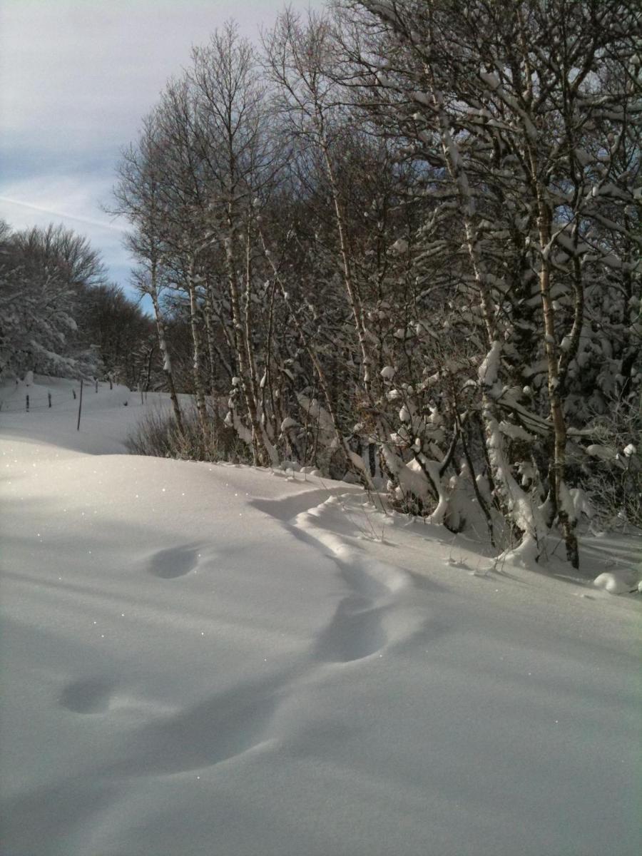 Les Montagnettes