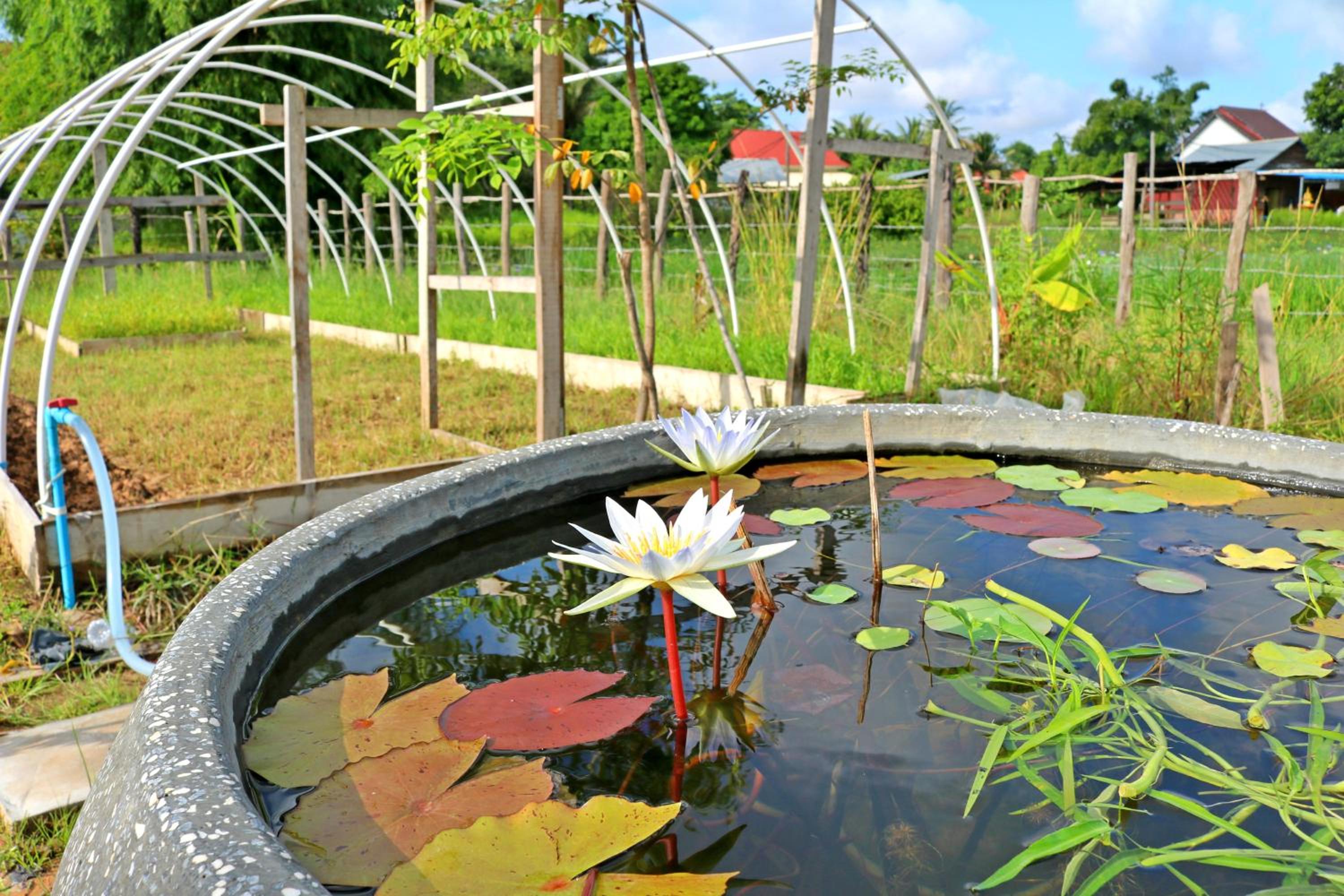 Urban Farmhouse