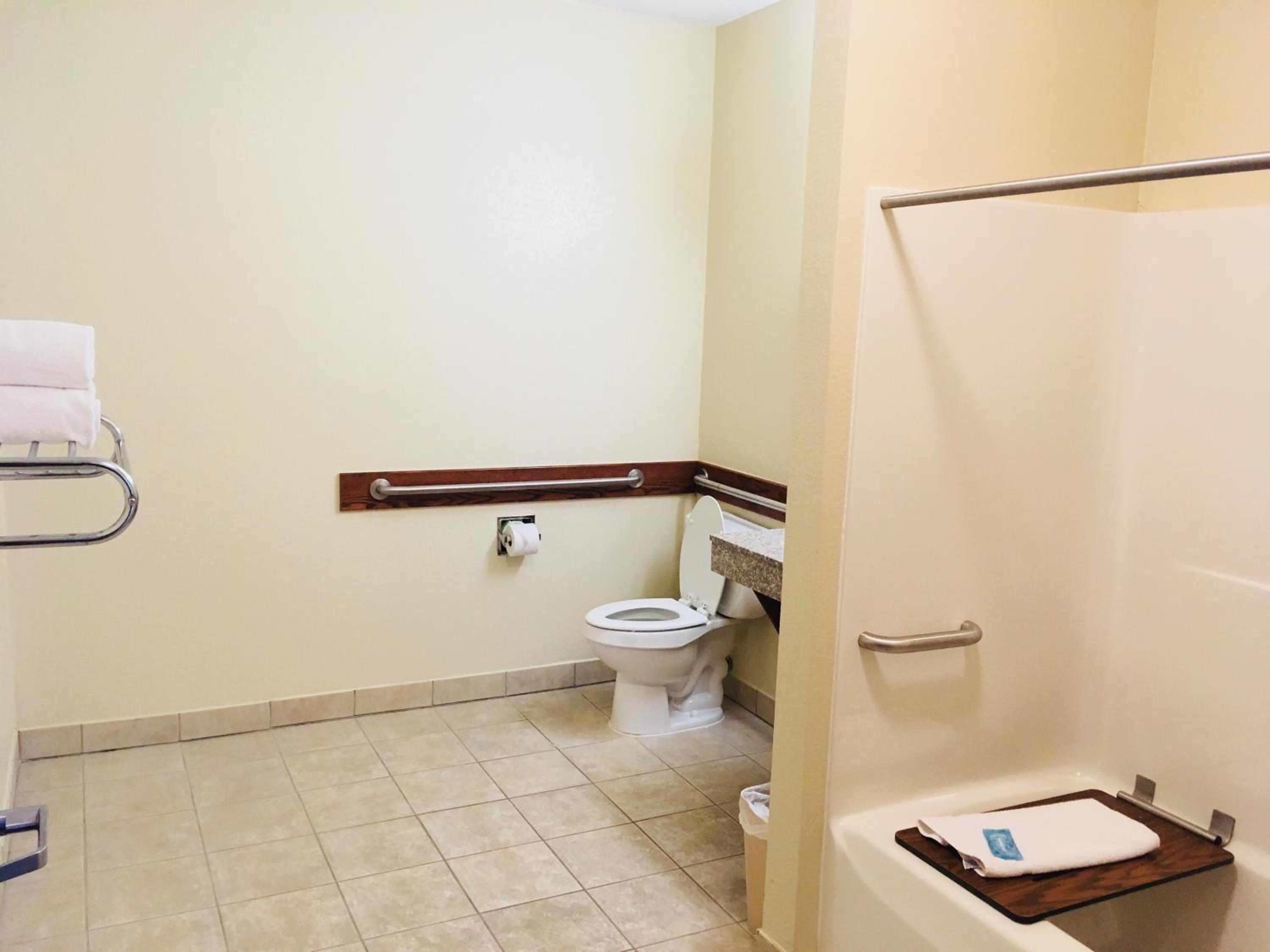 Cadillac Vacations - Holiday Inn Express Hotel Suites Cadillac, an IHG Hotel - Property Image 17