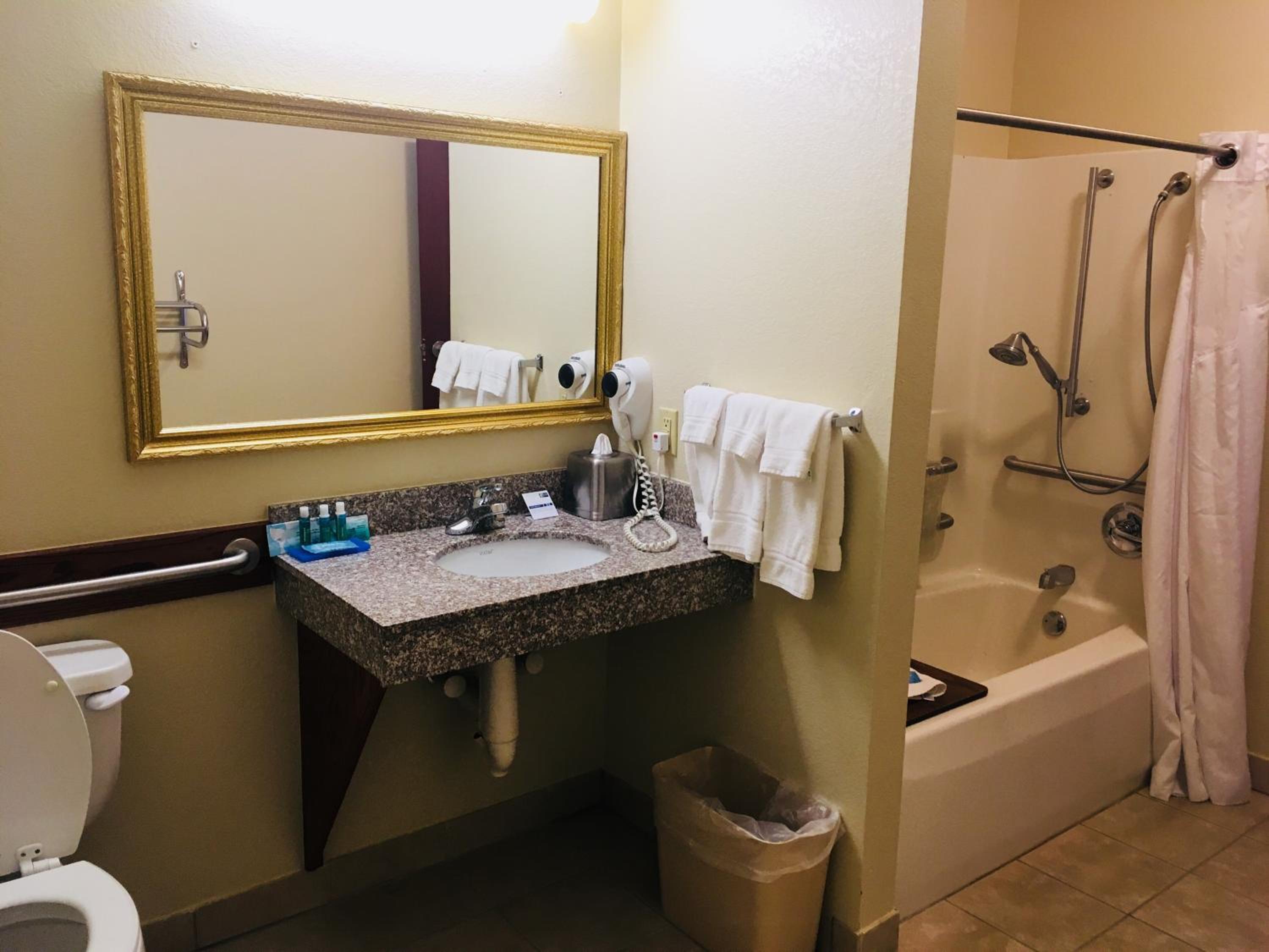 Cadillac Vacations - Holiday Inn Express Hotel Suites Cadillac, an IHG Hotel - Property Image 18