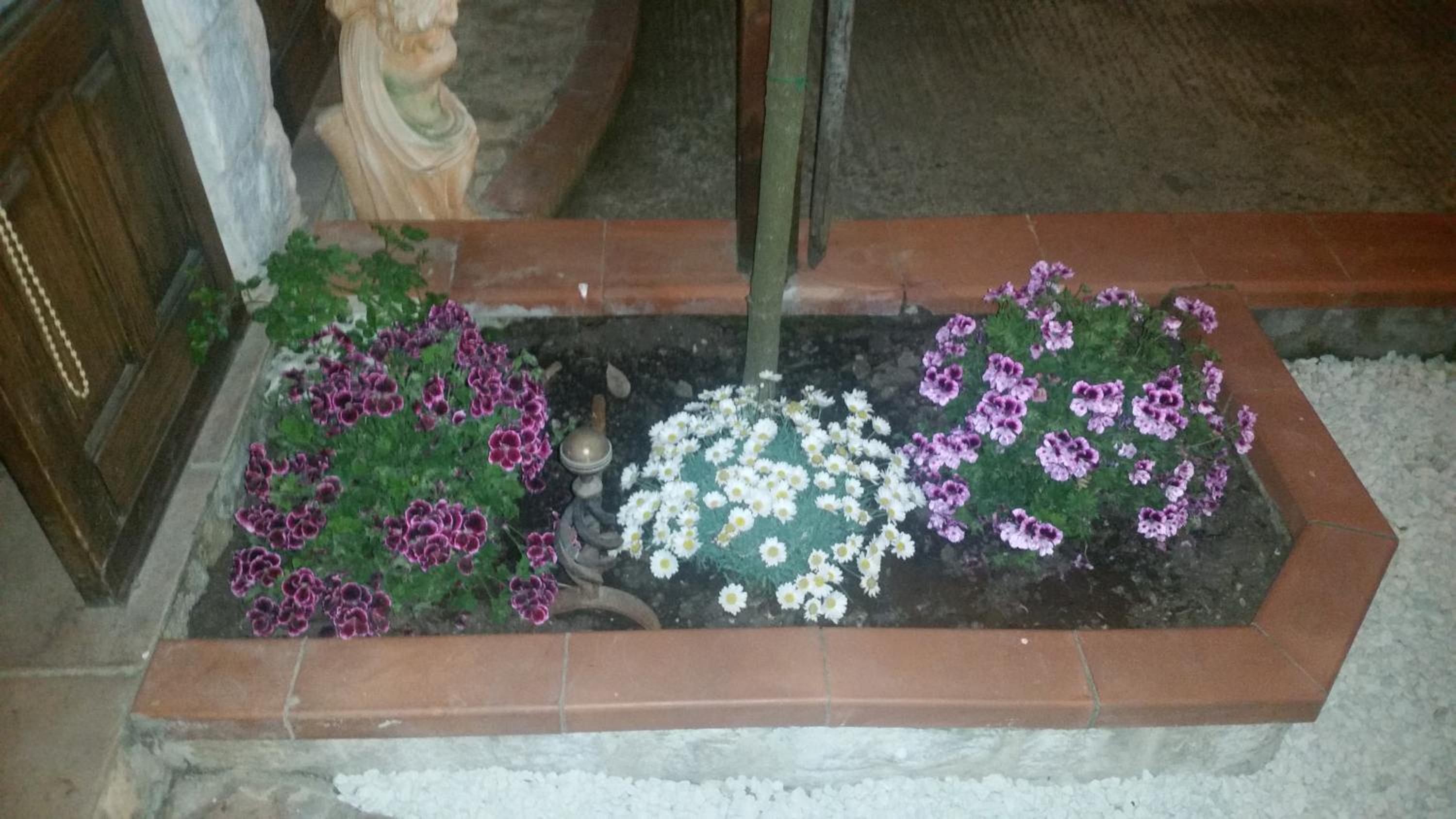 Photo 44