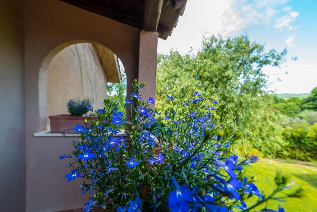 B&B Acque Lucenti view 5