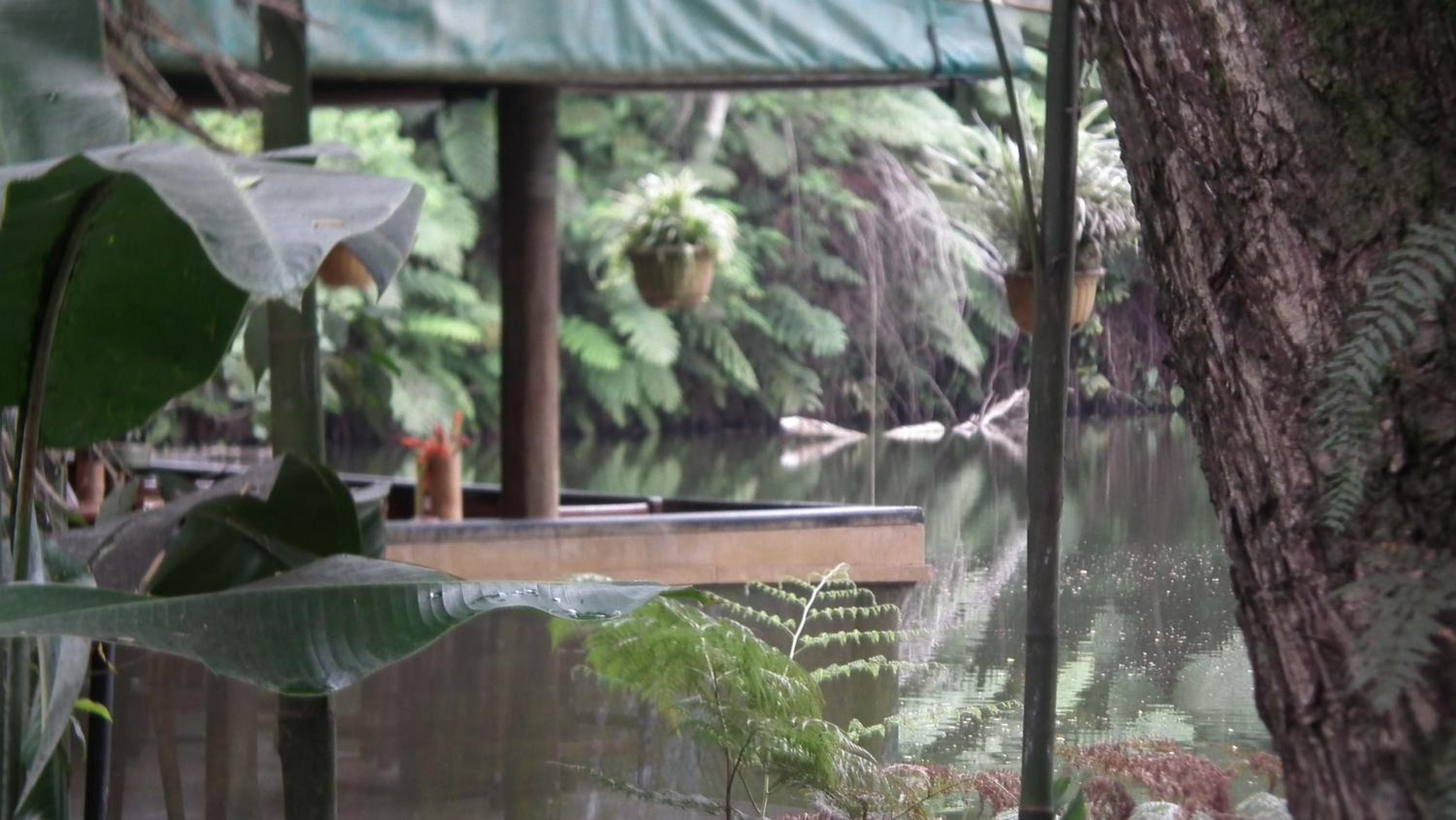Rainforest Eco Lodge