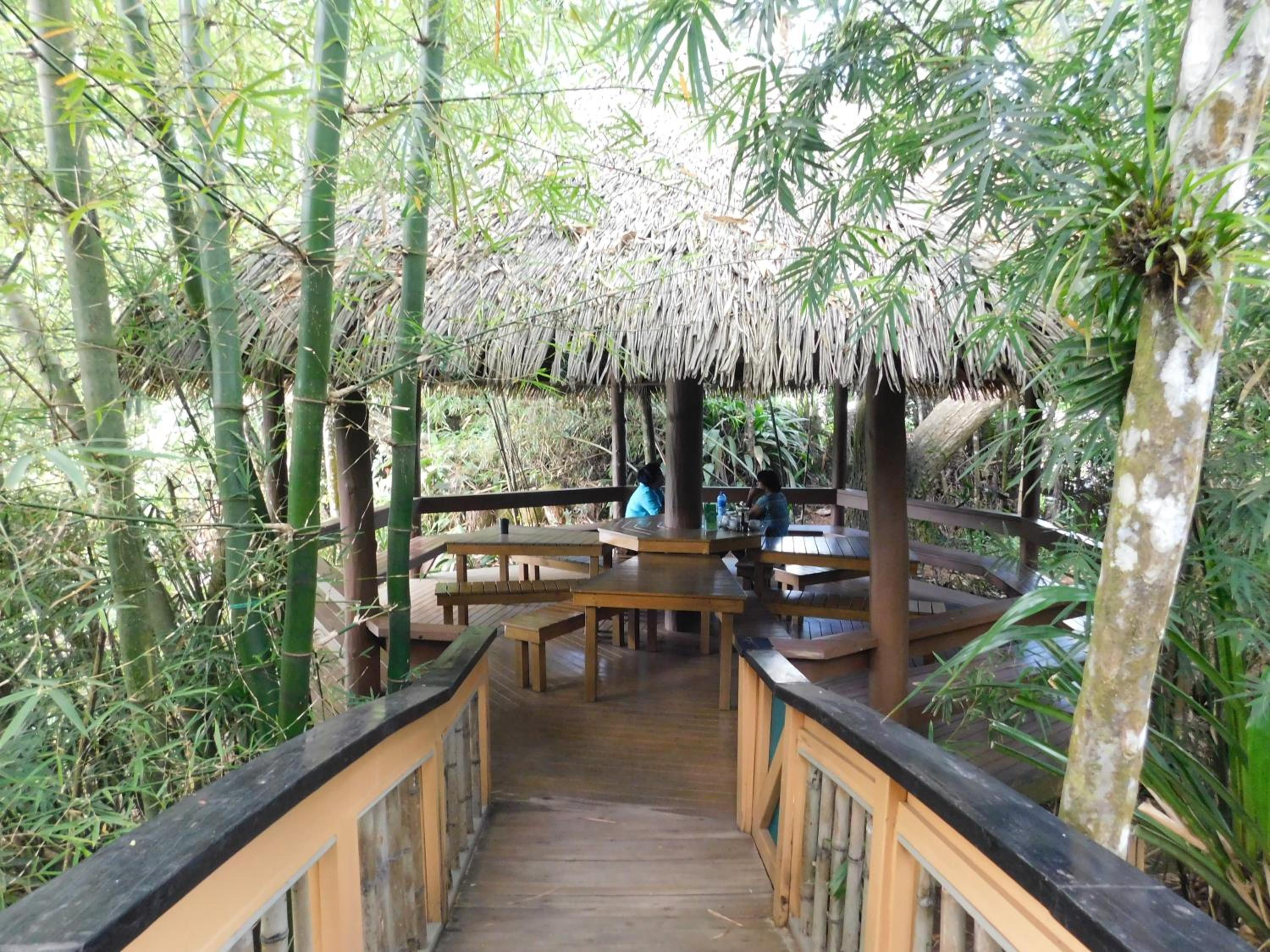 Rainforest Eco Lodge