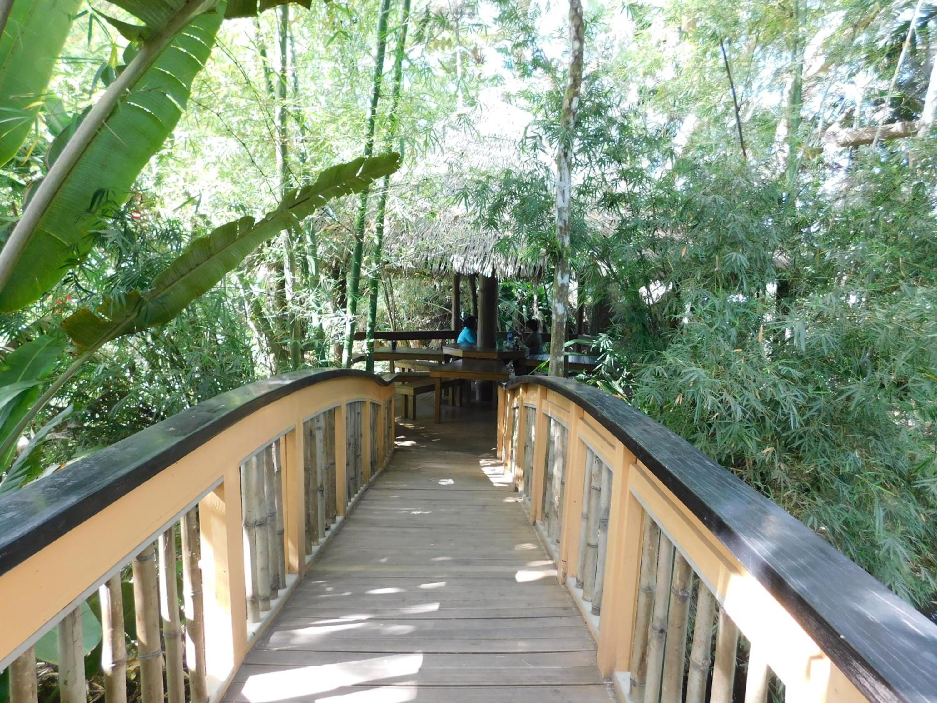 Rainforest Eco Lodge