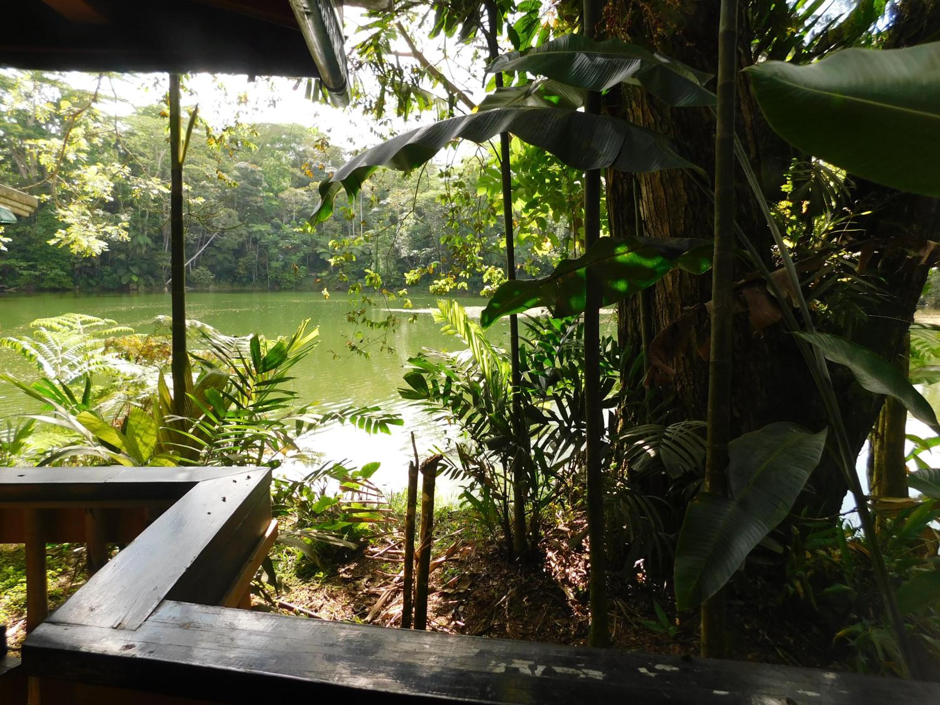 Rainforest Eco Lodge