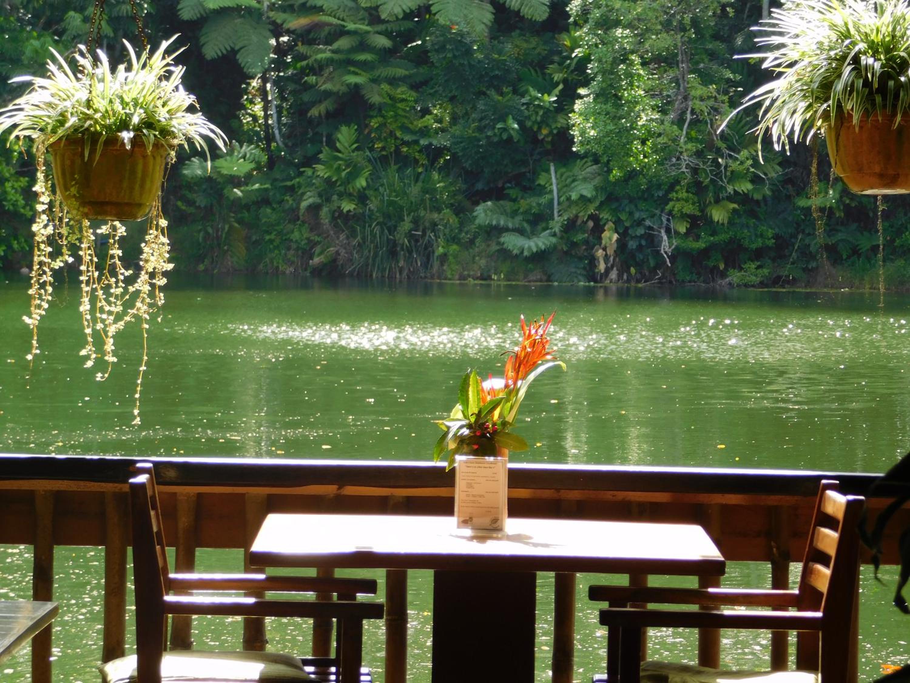 Rainforest Eco Lodge