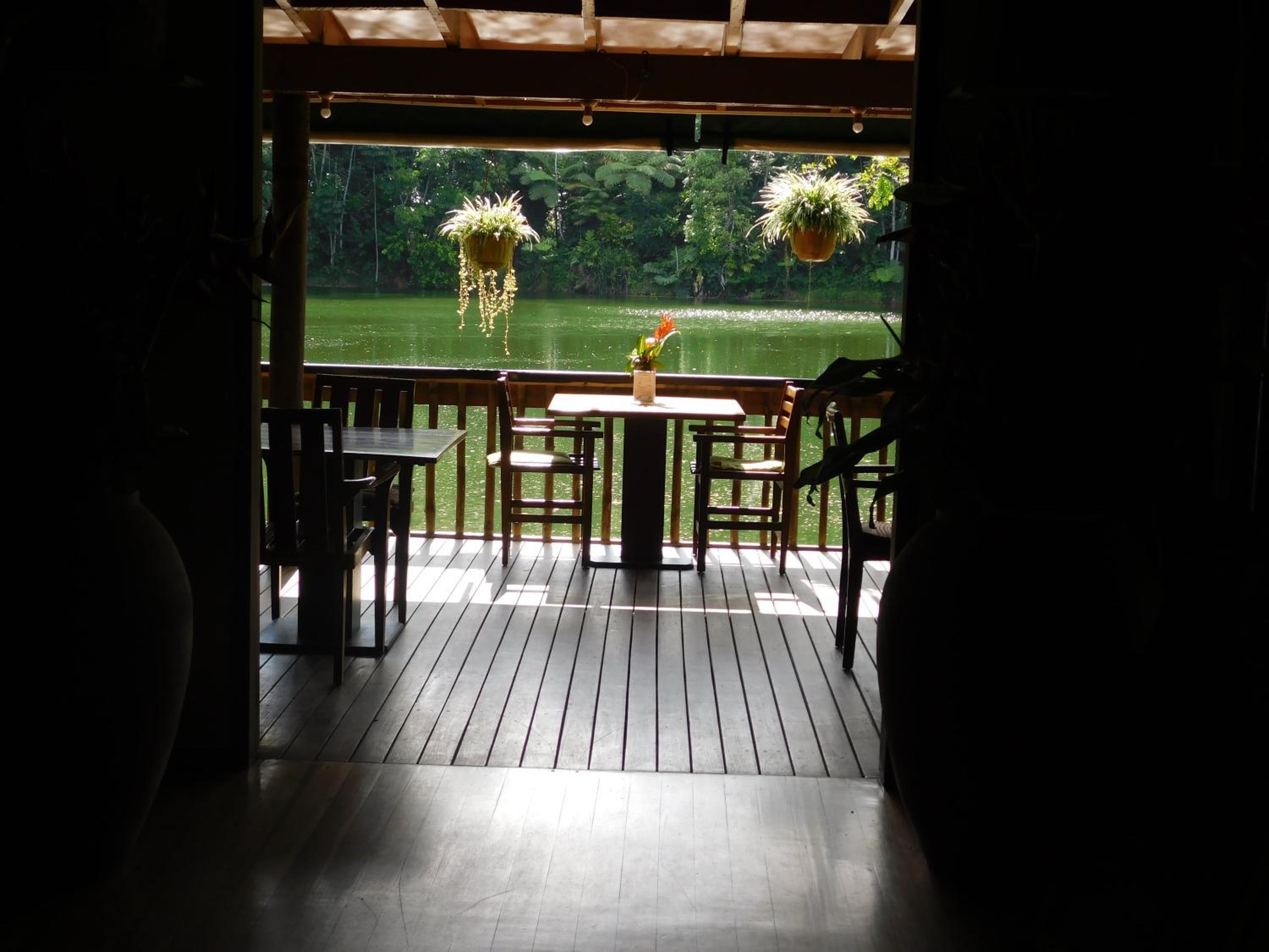 Rainforest Eco Lodge