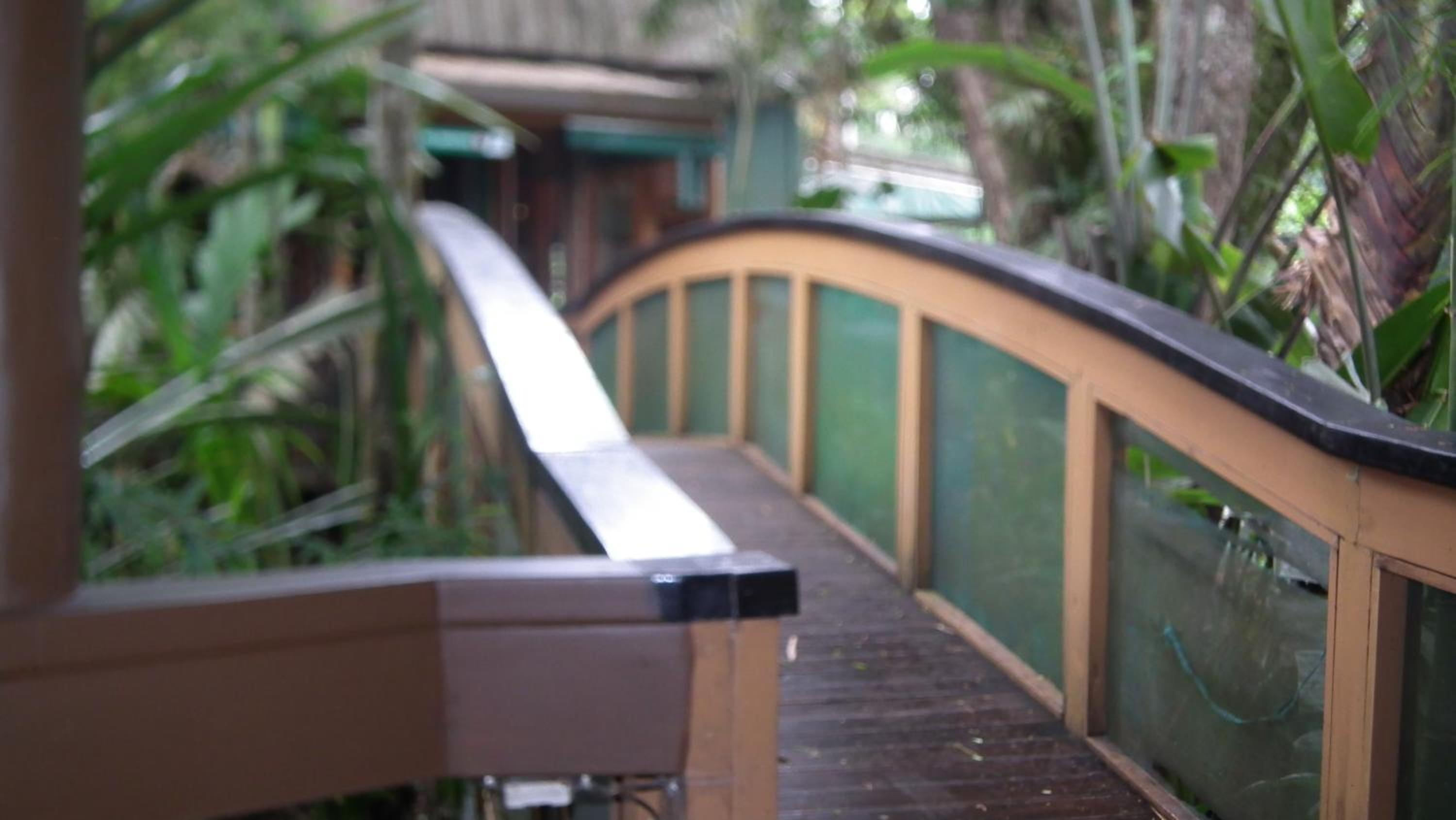 Rainforest Eco Lodge