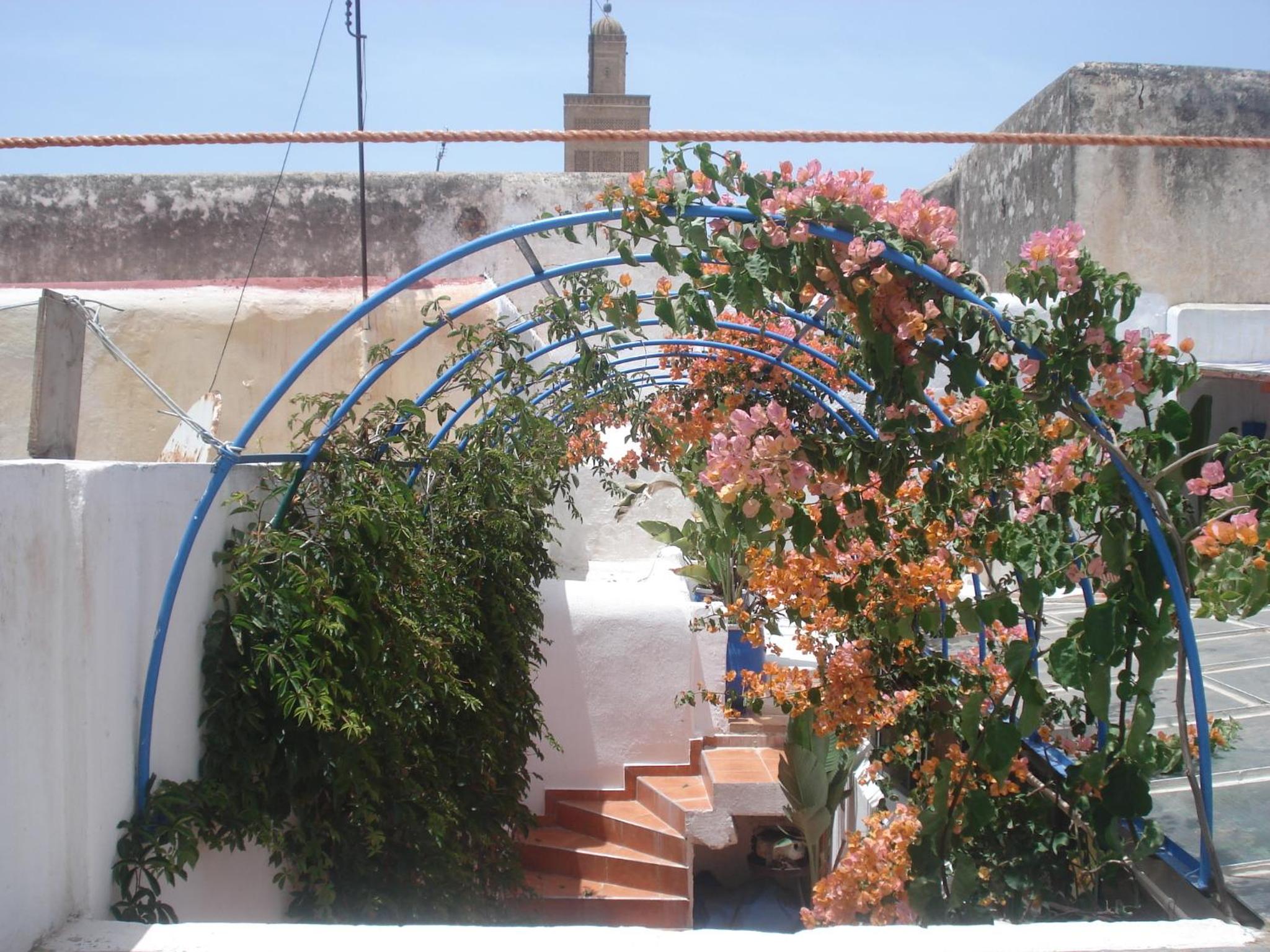 roof