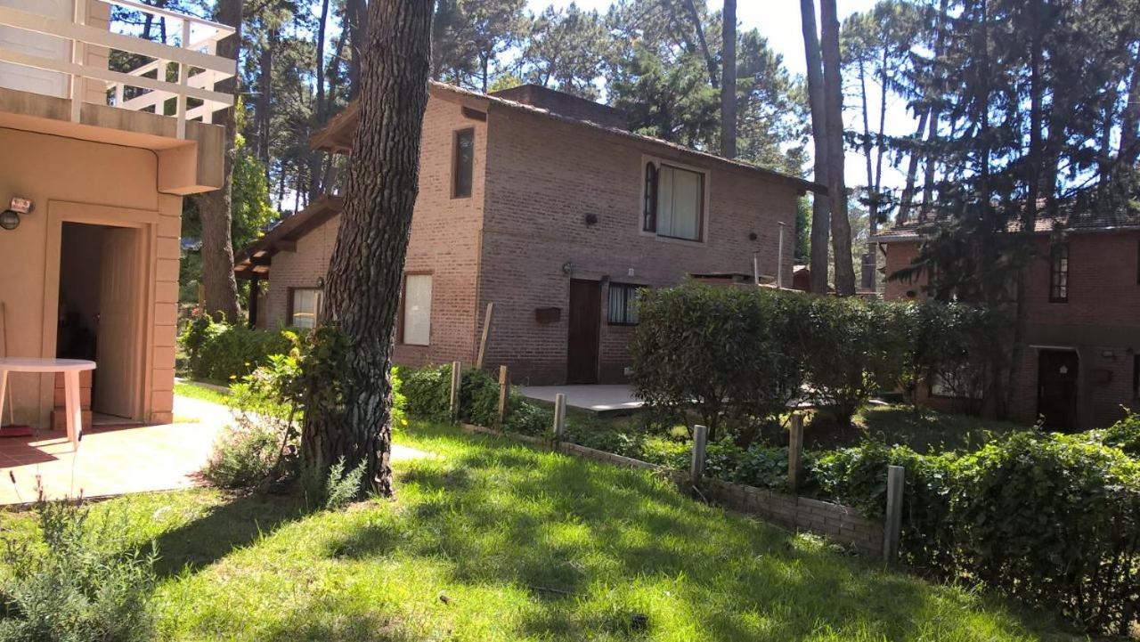 Los Amigos del Pinar