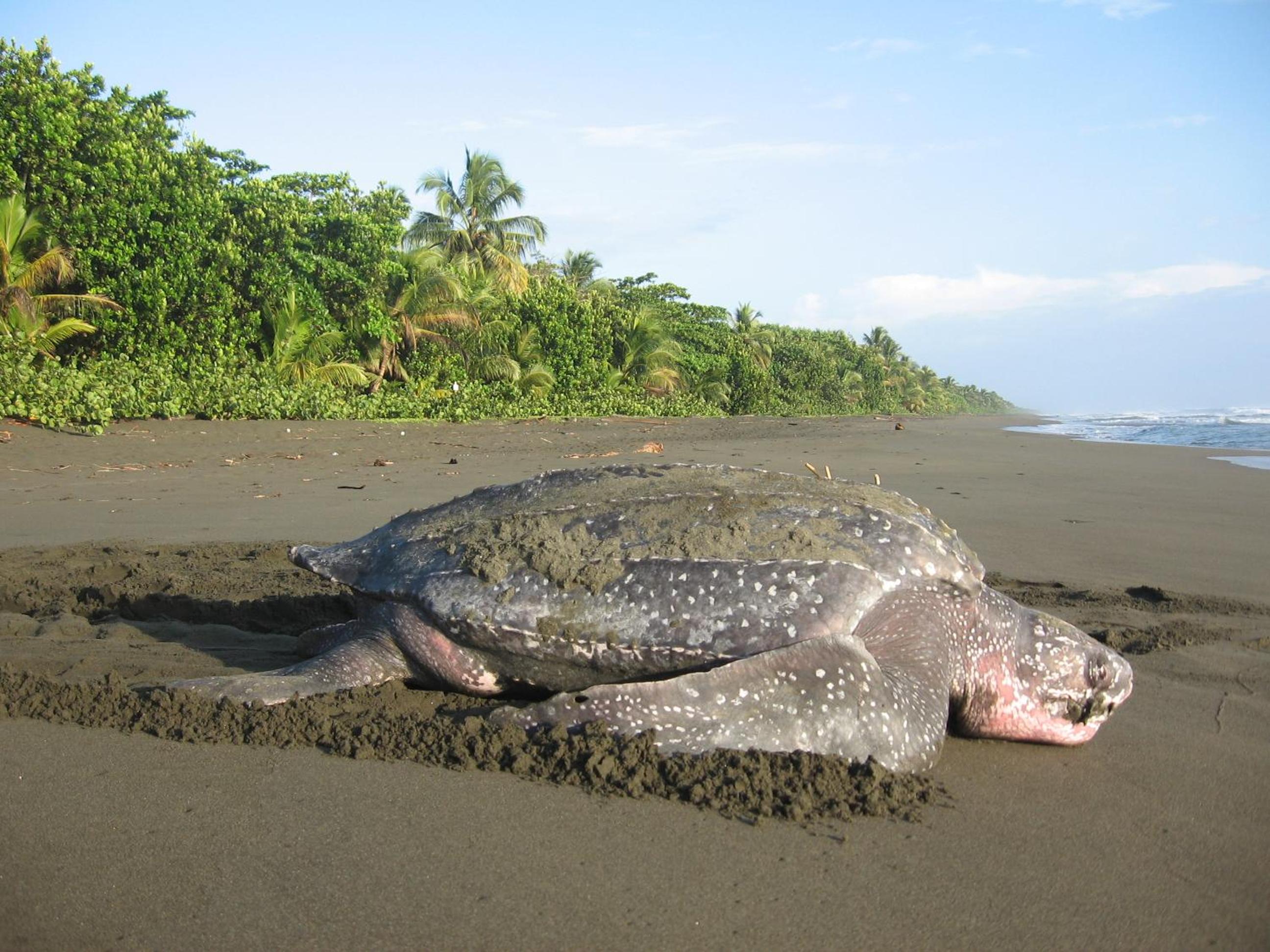Casa Grande at Pacuare Reserve
