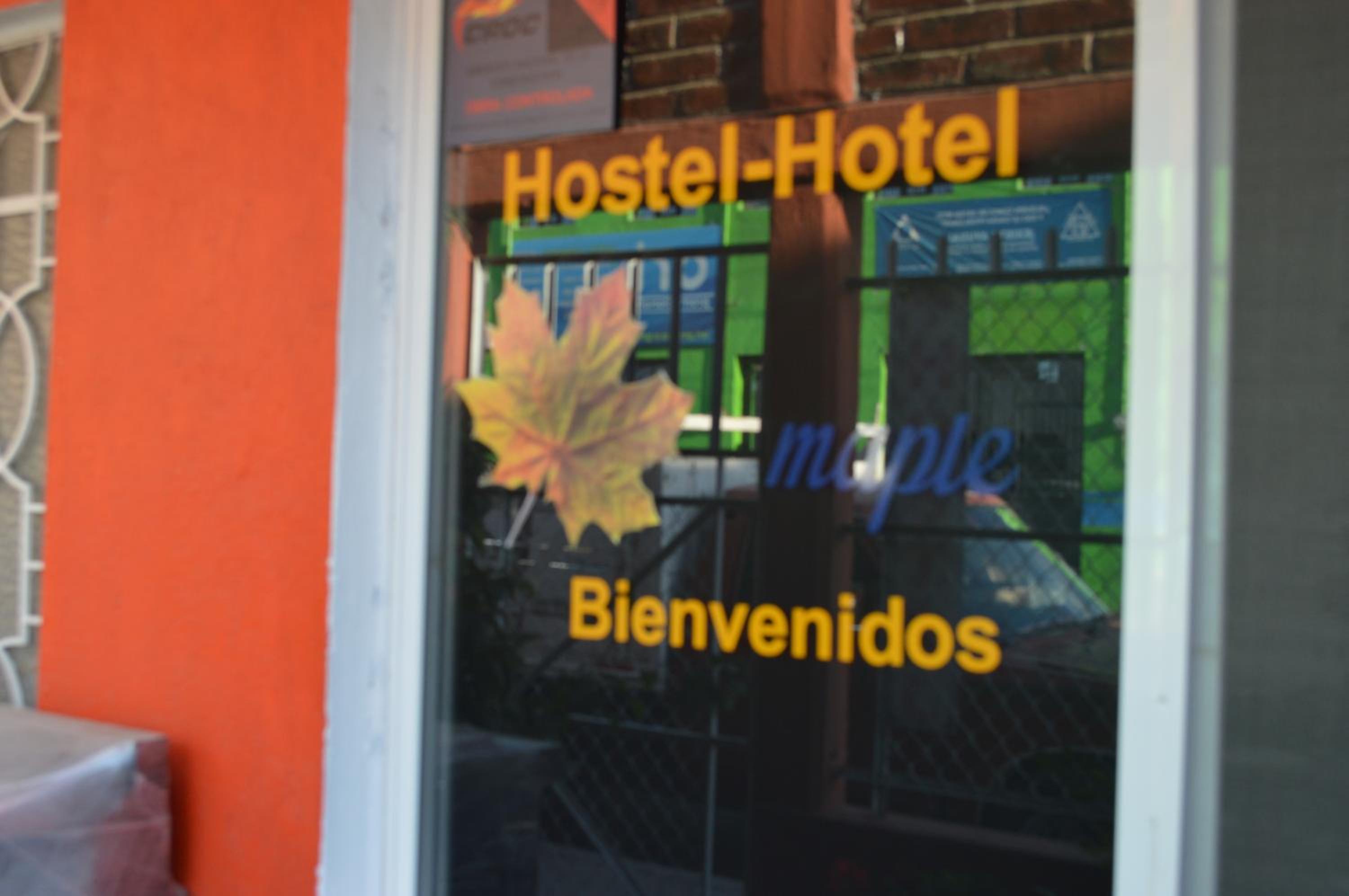 Hostal Maple