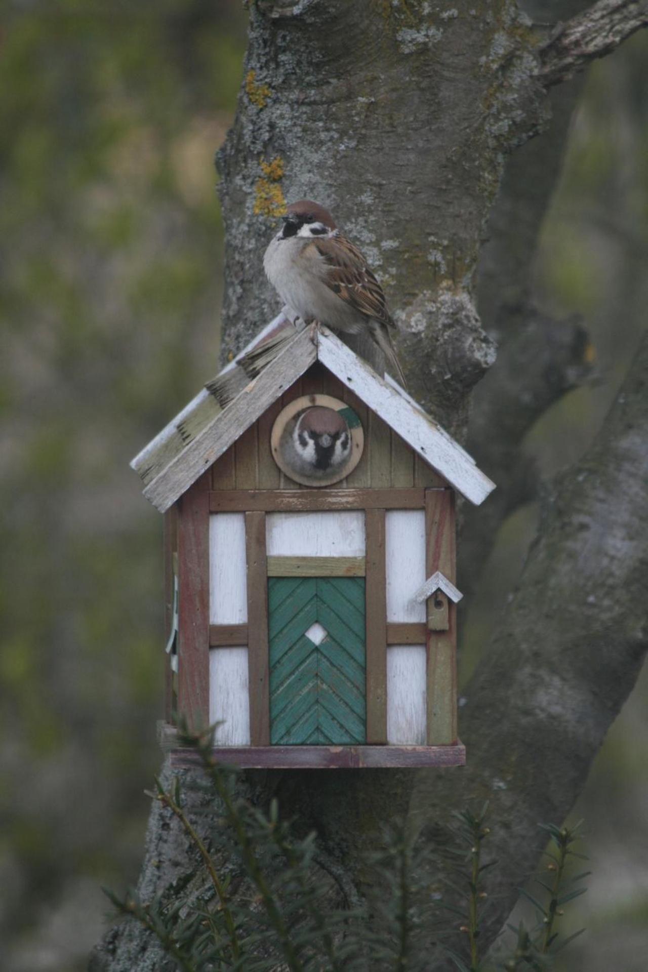 Lilla Huset på Slätten B&B