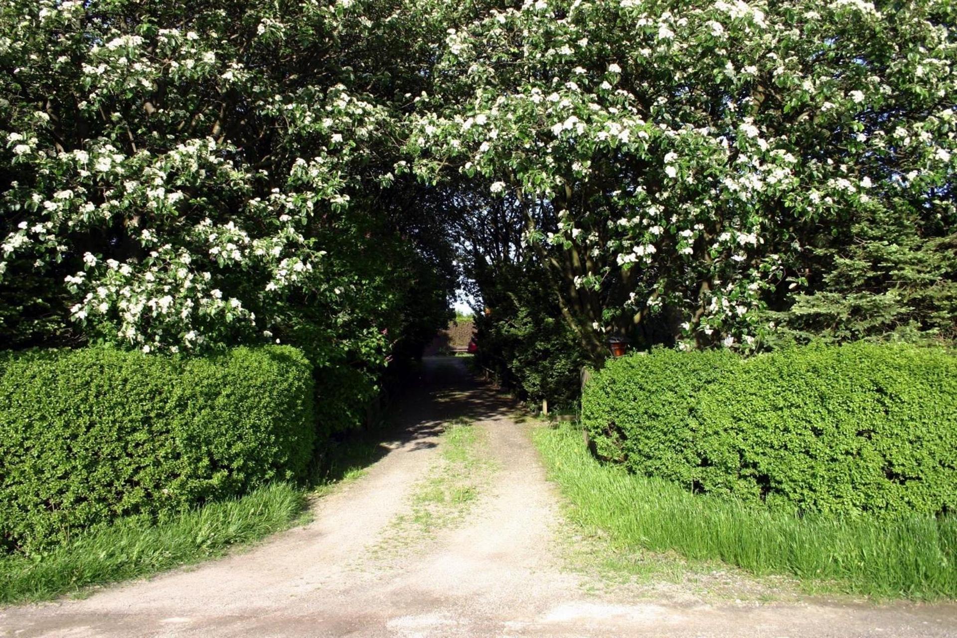 Lilla Huset på Slätten B&B