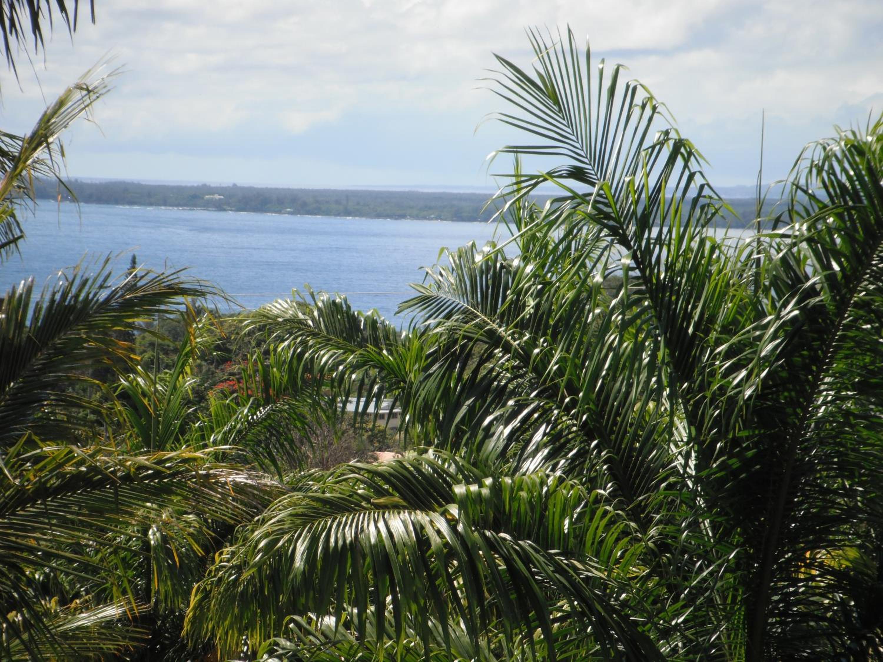 Island Goode's - Luxury Adult Only Accommodation near Hilo