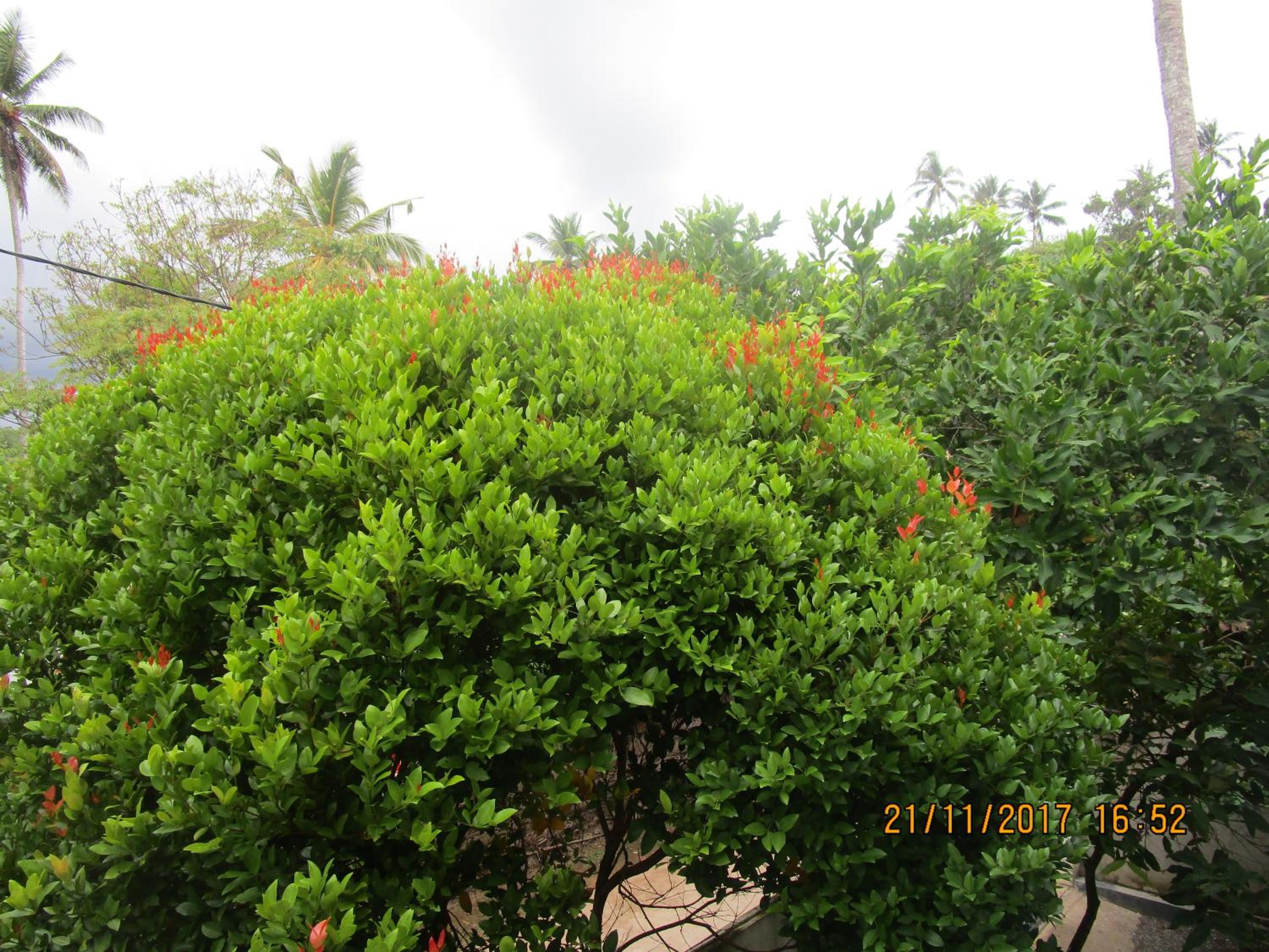 Photo 24