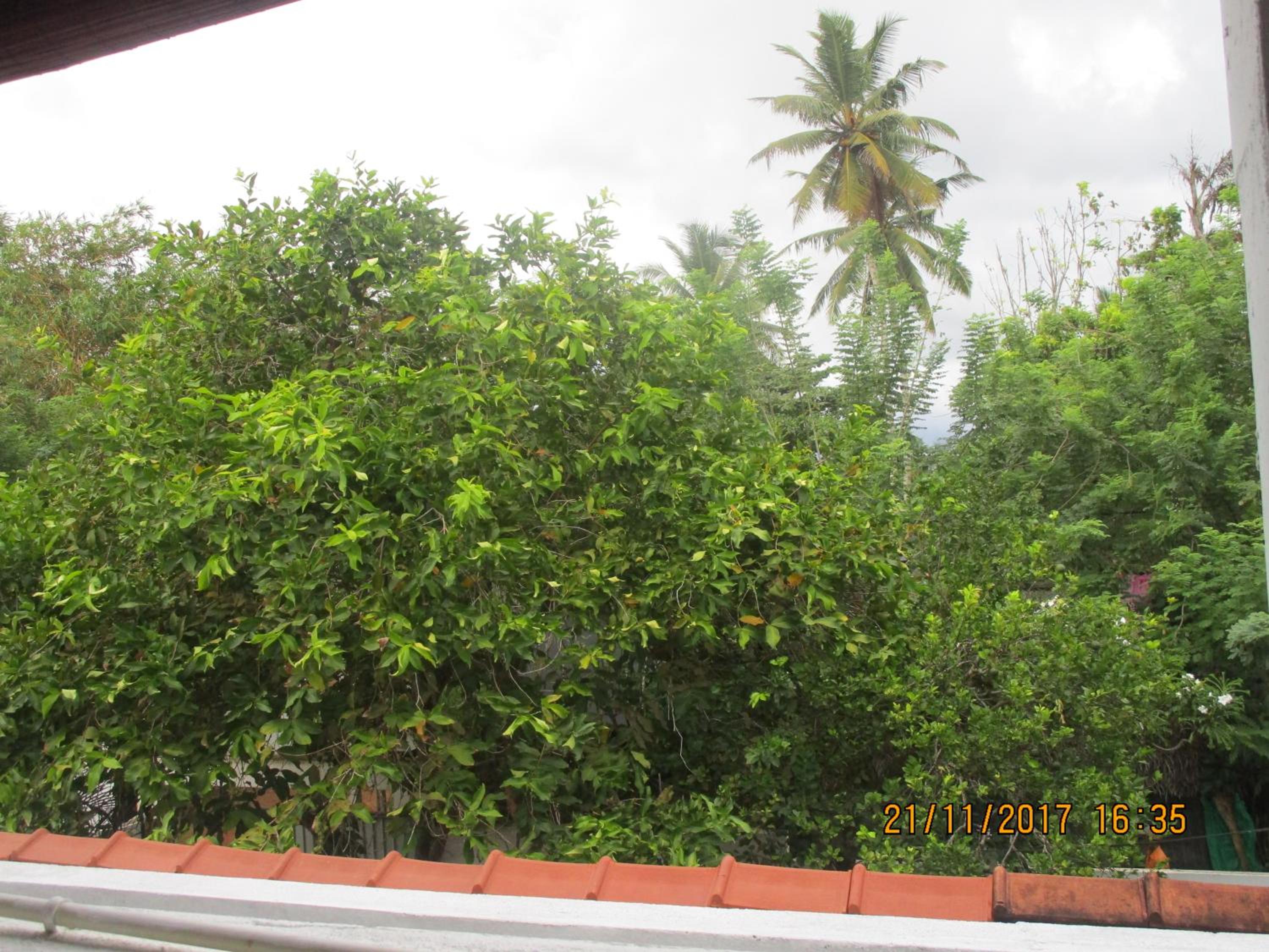 Photo 54