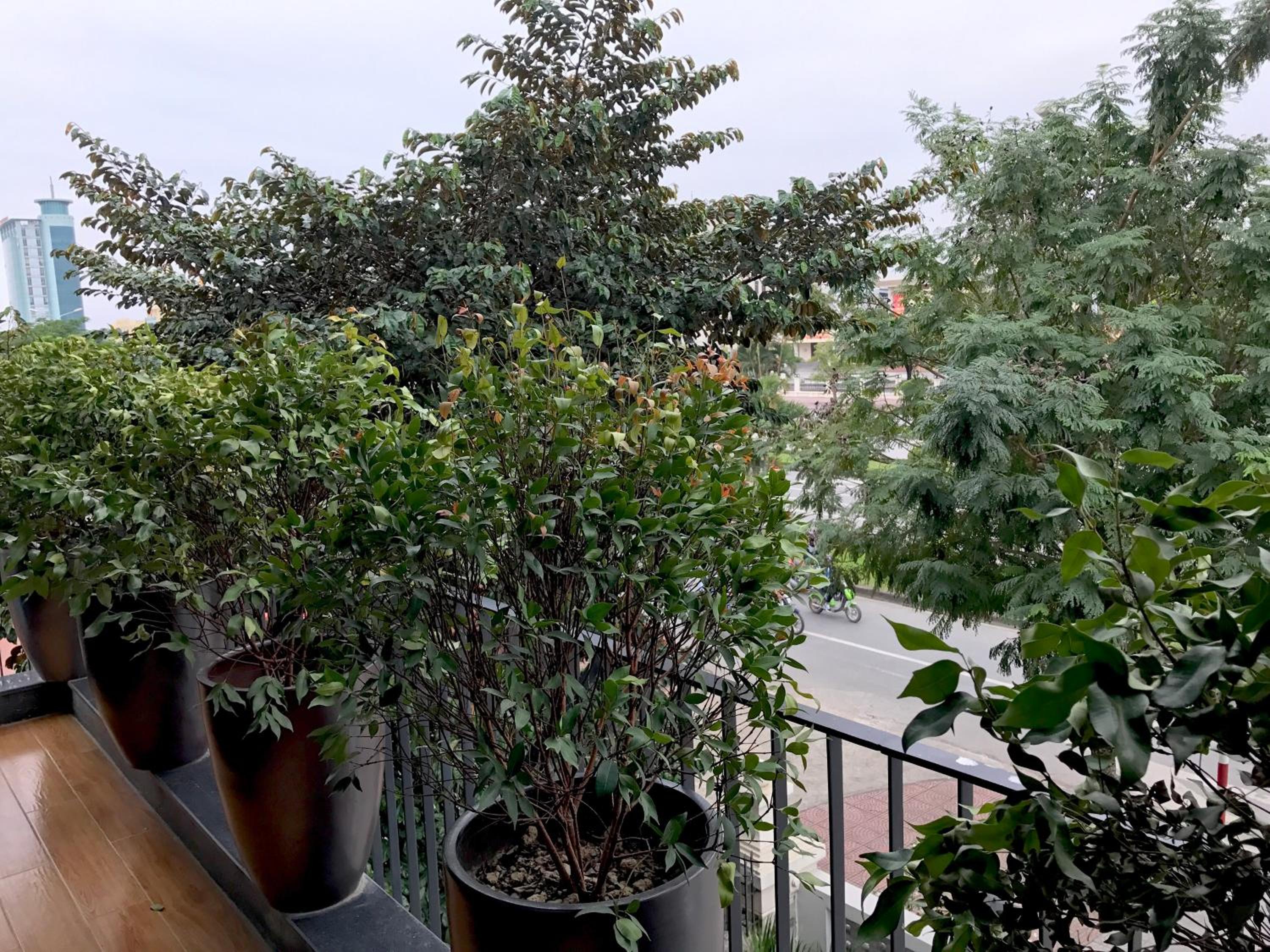 F & F Hotel - Image 3