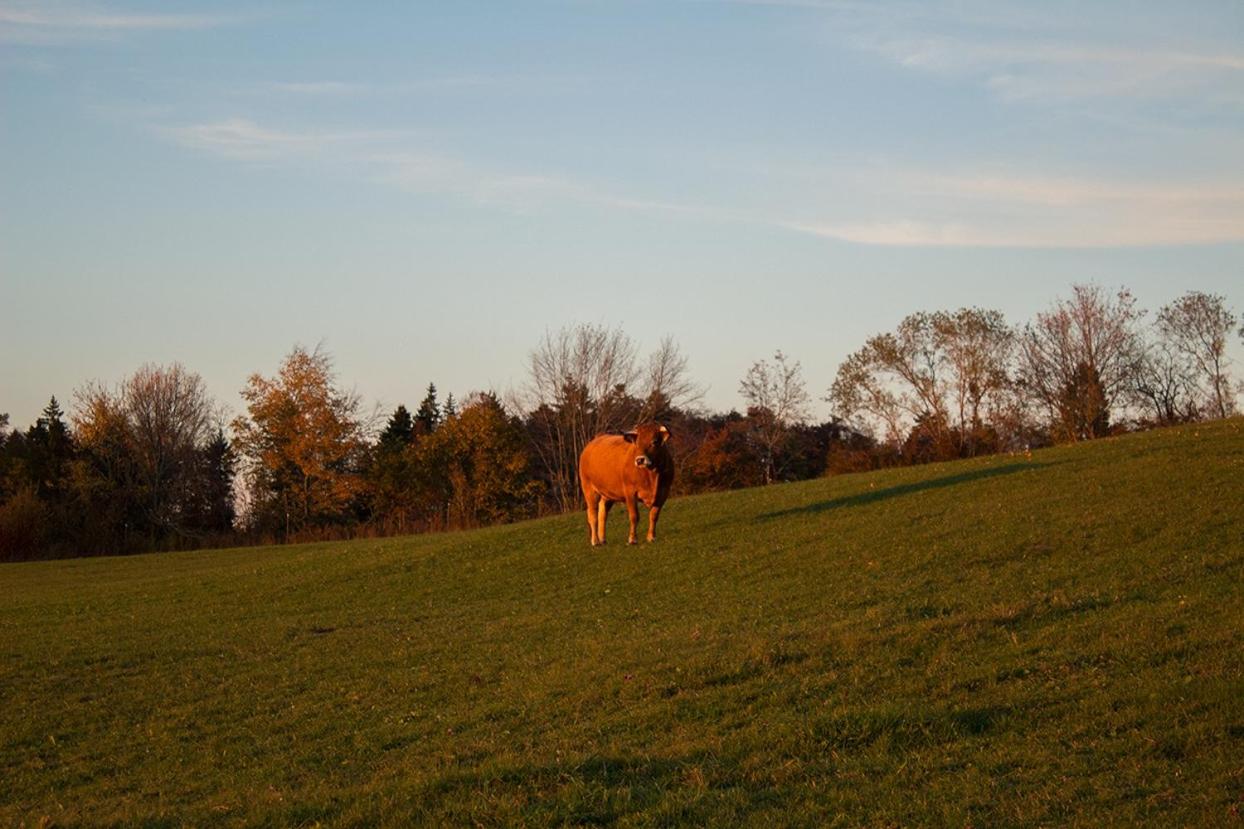 Le Cerneux-au-Maire