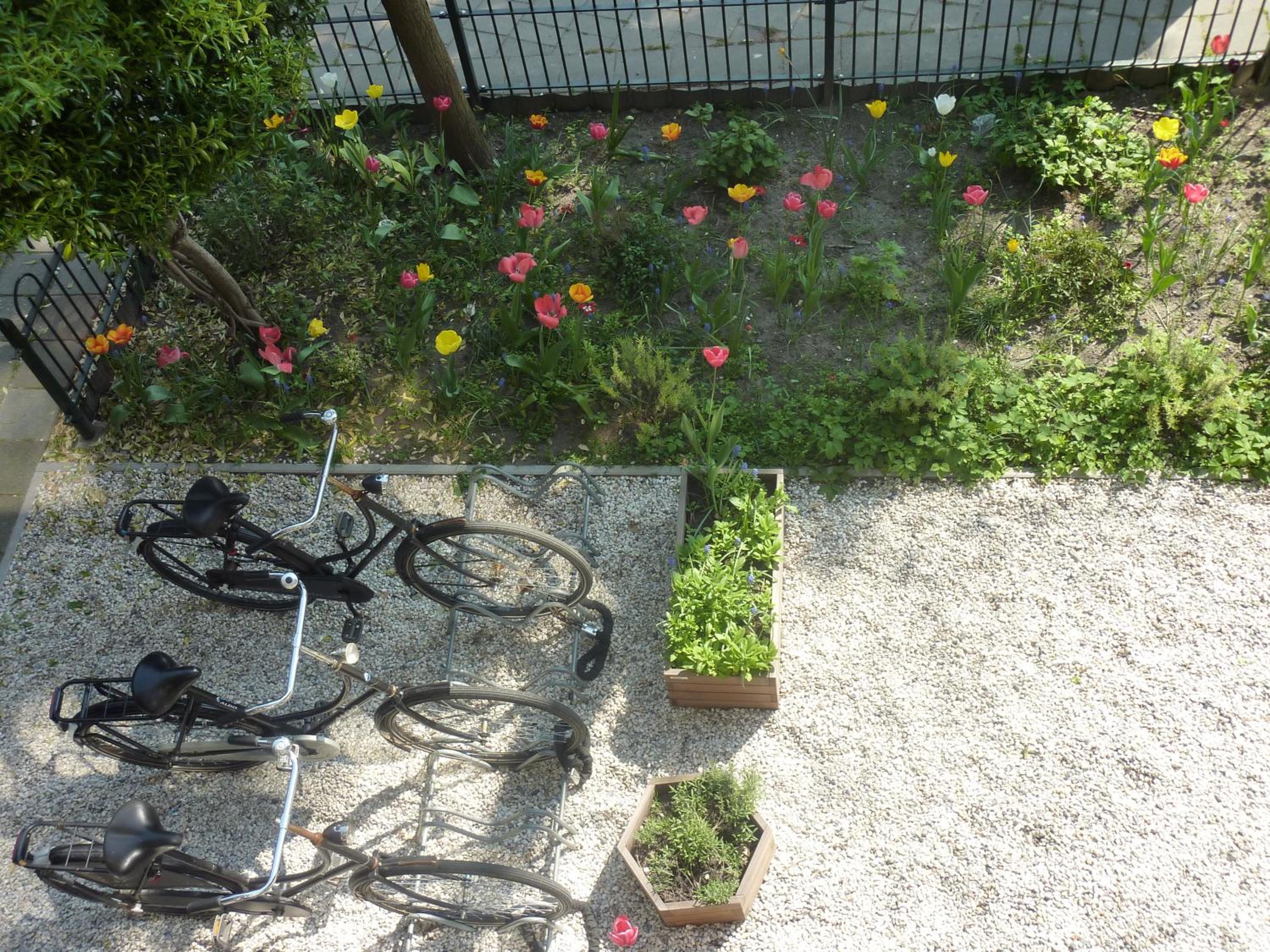 Photo 24