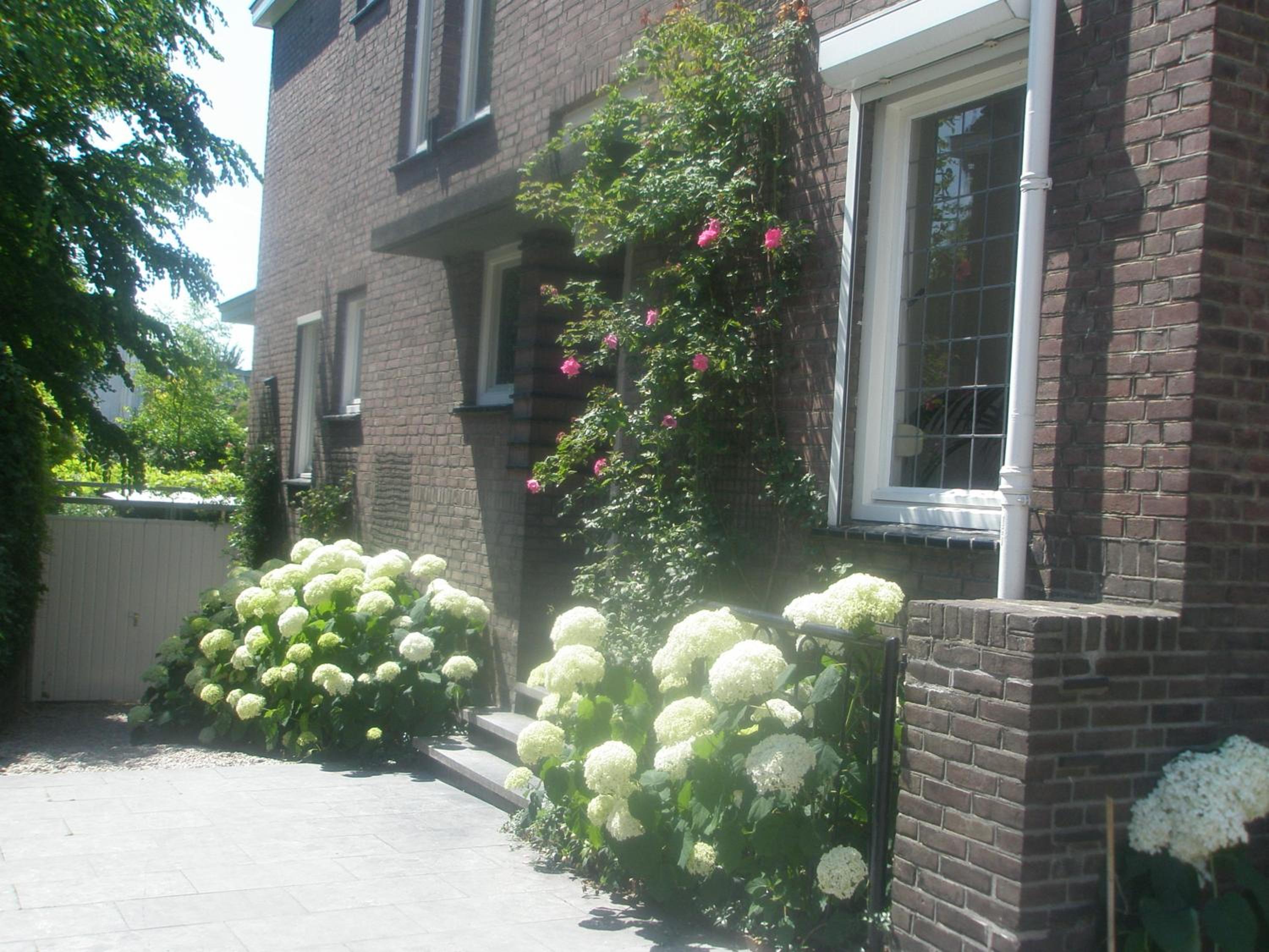 Photo 33