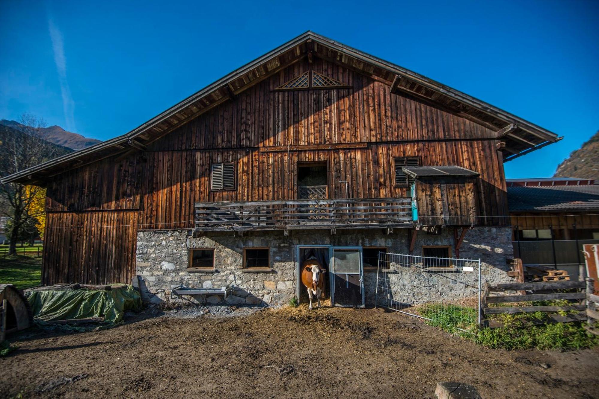 KENDLGUT Appartements am BioBauernhof inklusive unbegrenztem Eintritt in die Alpentherme