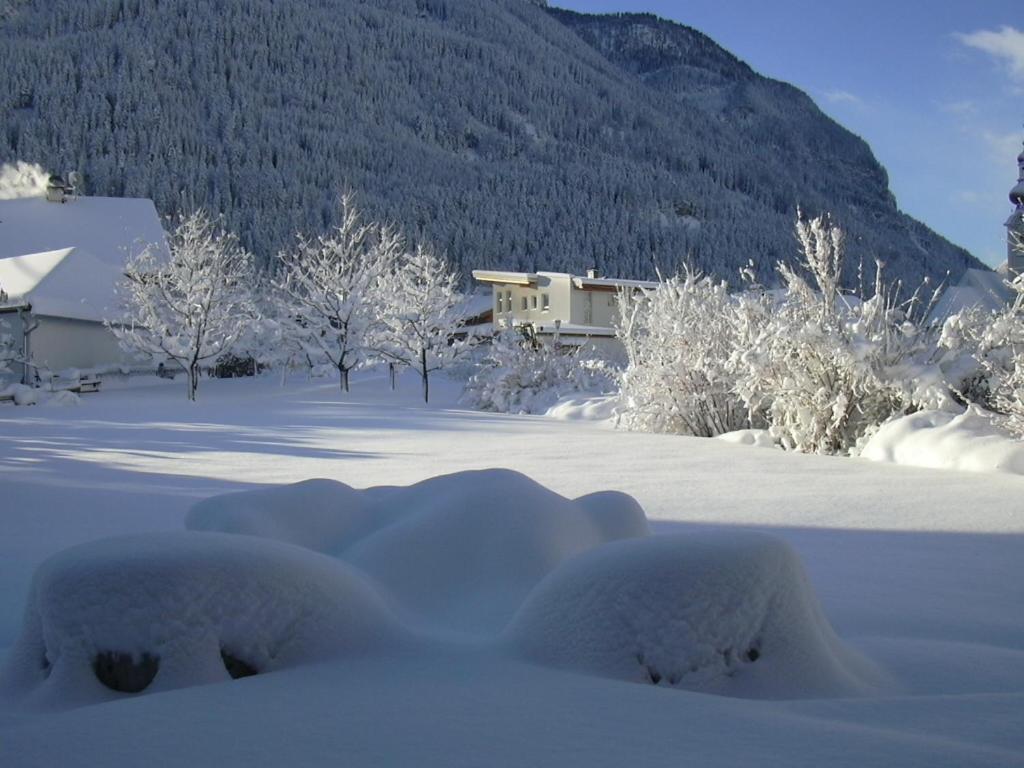 Haus Salzmann view 4