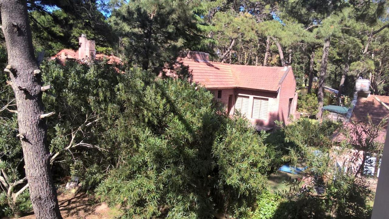Los Amigos del Pinar