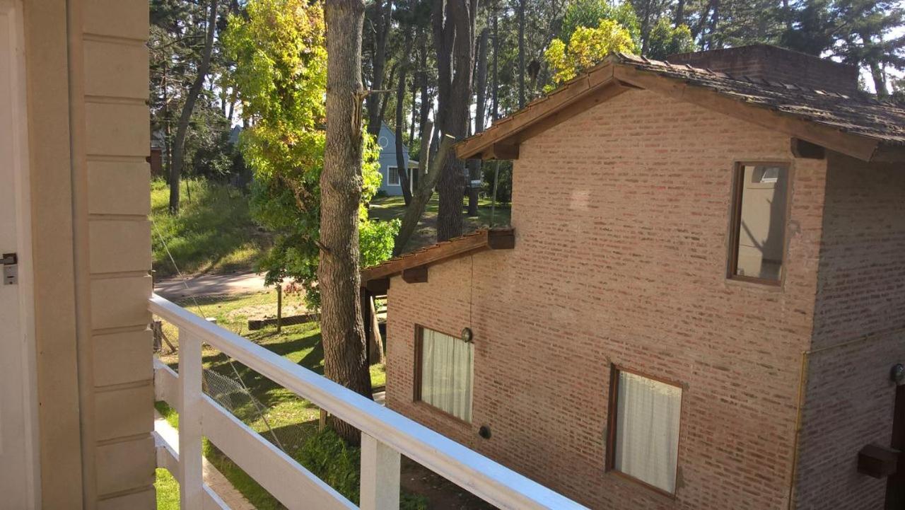 Los Amigos del Pinar