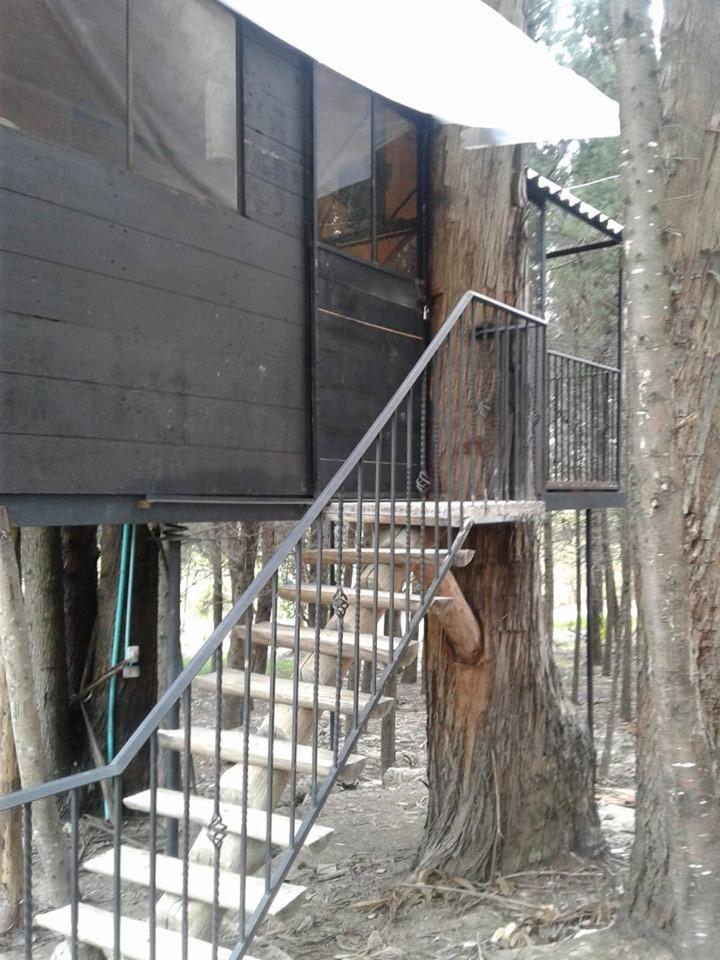 Despierta En El Árbol Desayuno Americano a tu ritmo somos Petfriendly