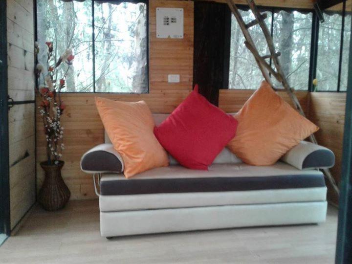 Despierta En El Árbol Desayuno Americano a tu ritmo somos Petfriendly