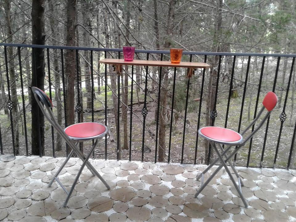 Despierta En El Árbol Desayuno Americano a tu ritmo somos Petfriendly