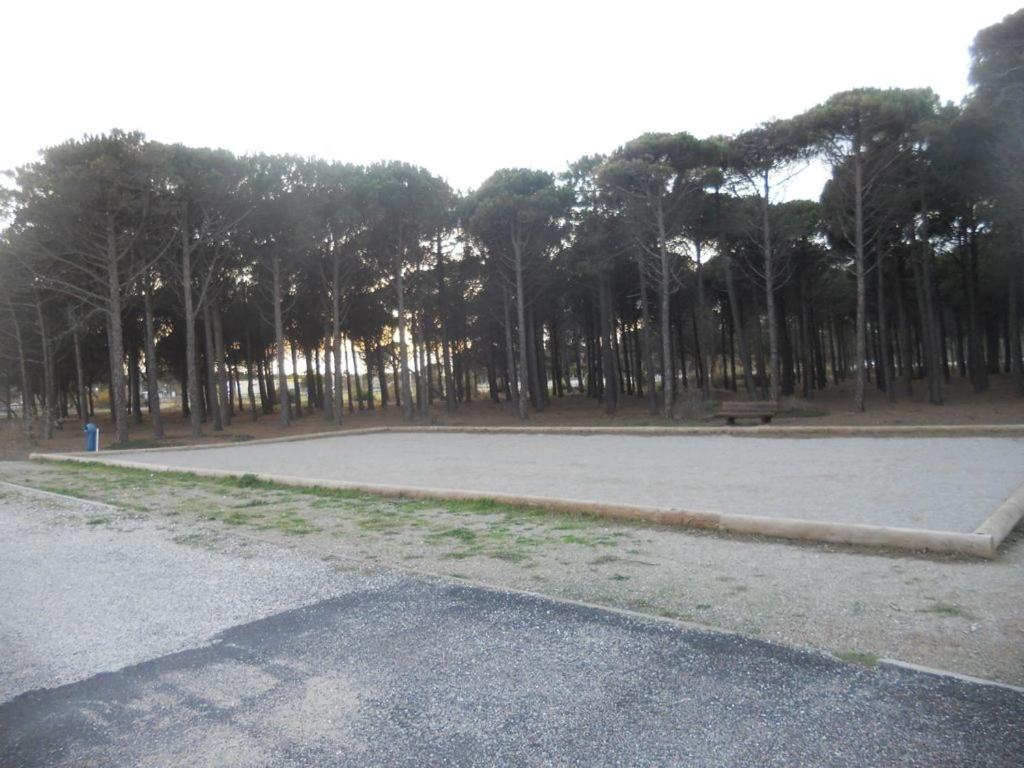Photo 28