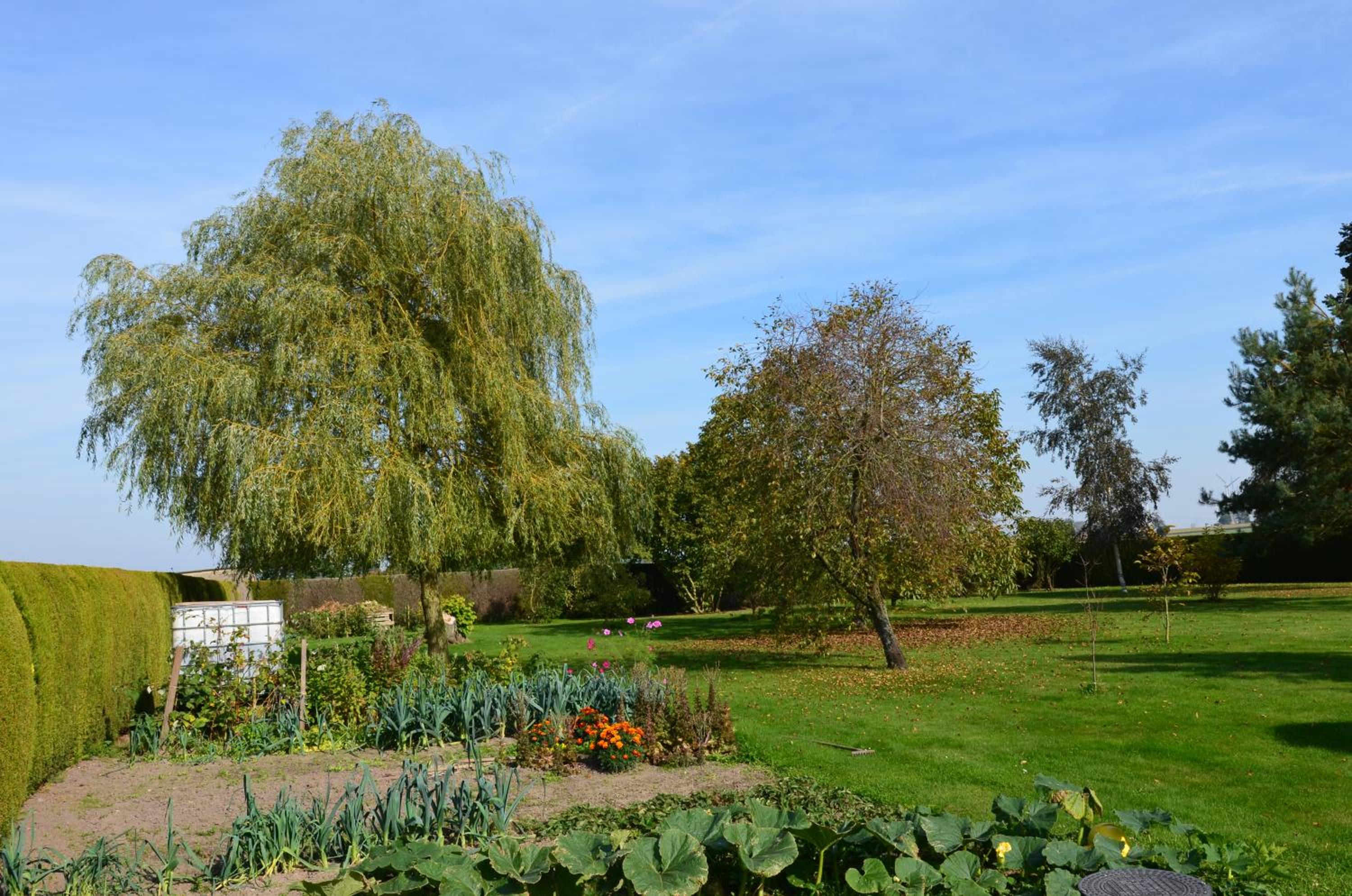 FeWo Albrecht in Metschow view 2