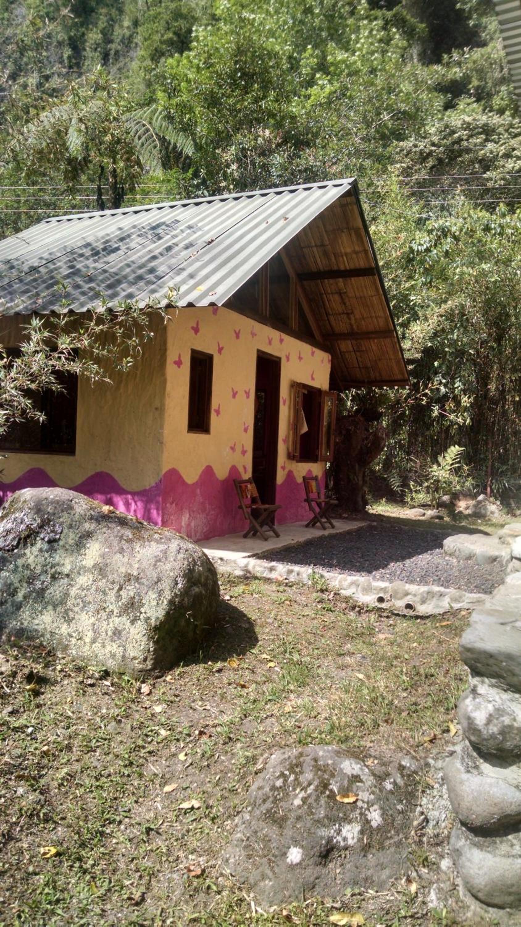 Photo 19