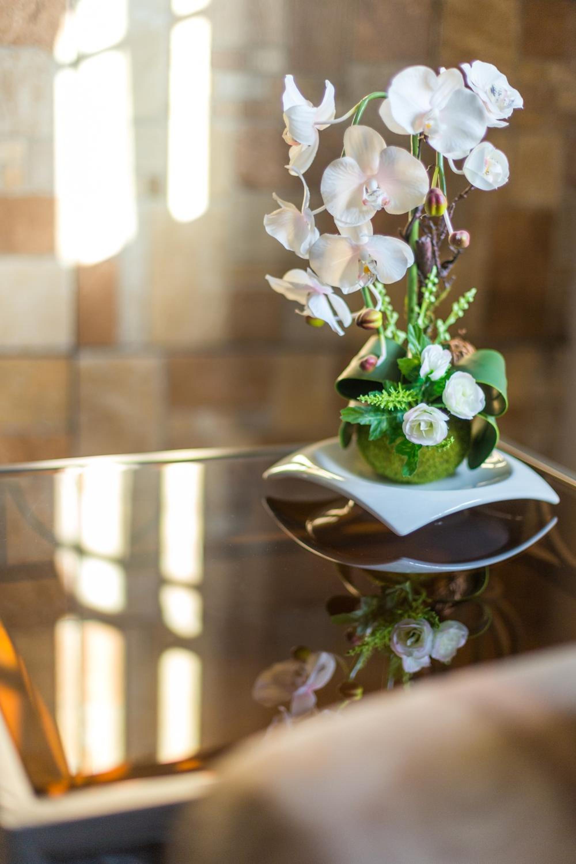 Merida Serviced Apartments