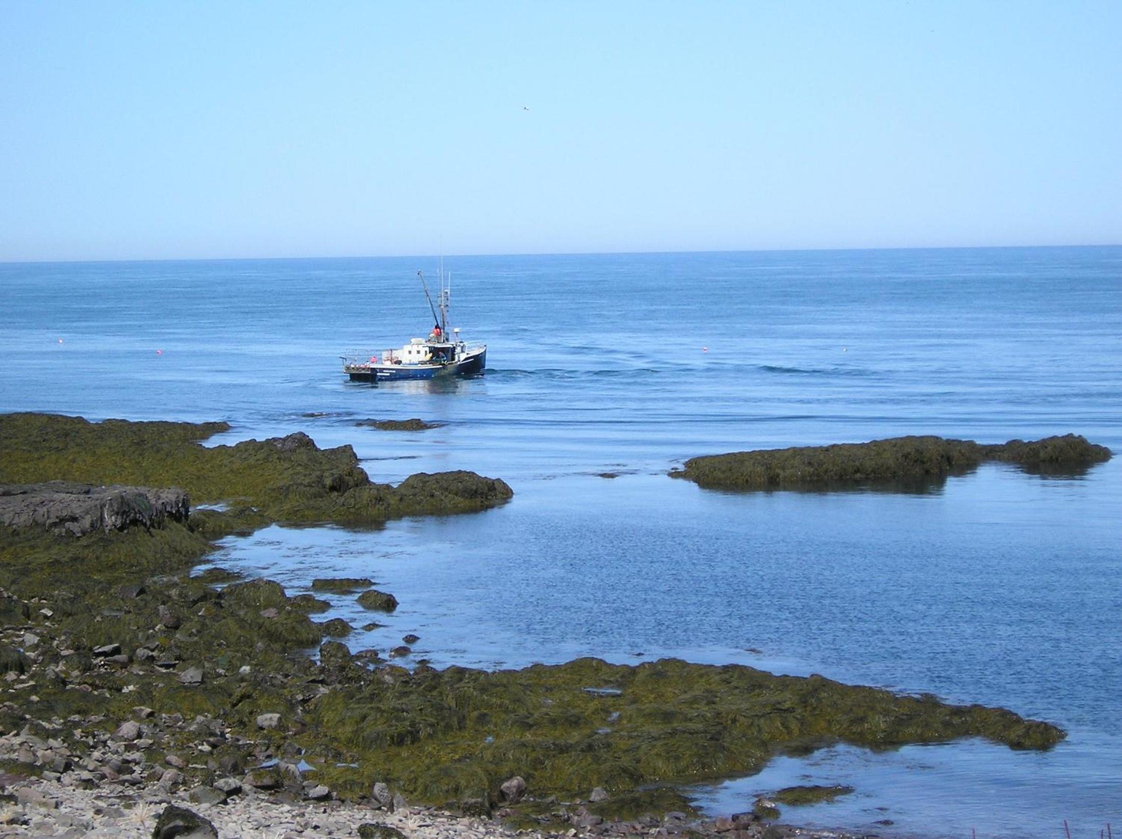 Gulliver's Cove Oceanview Cottages
