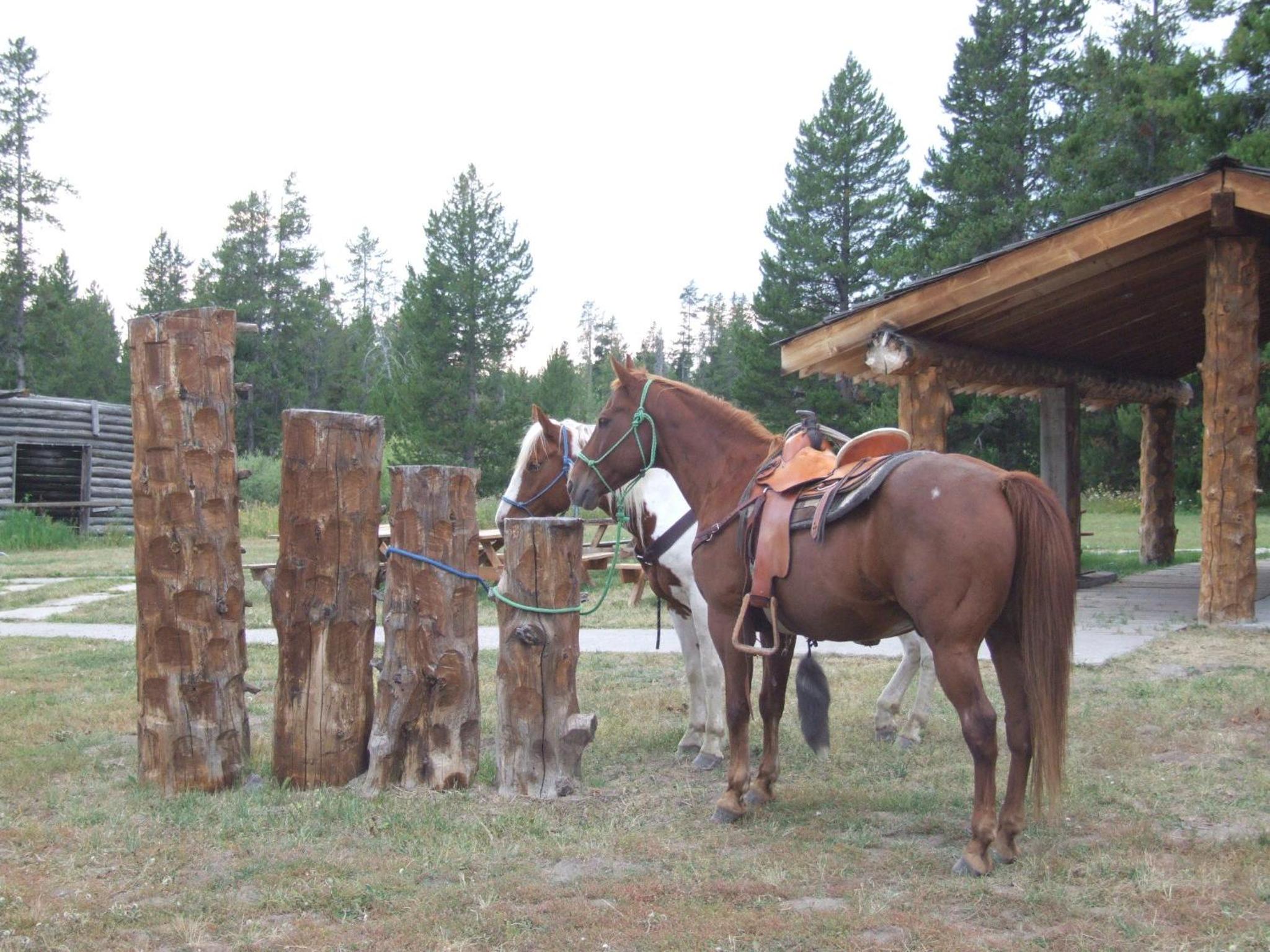 Eagle Ridge Ranch