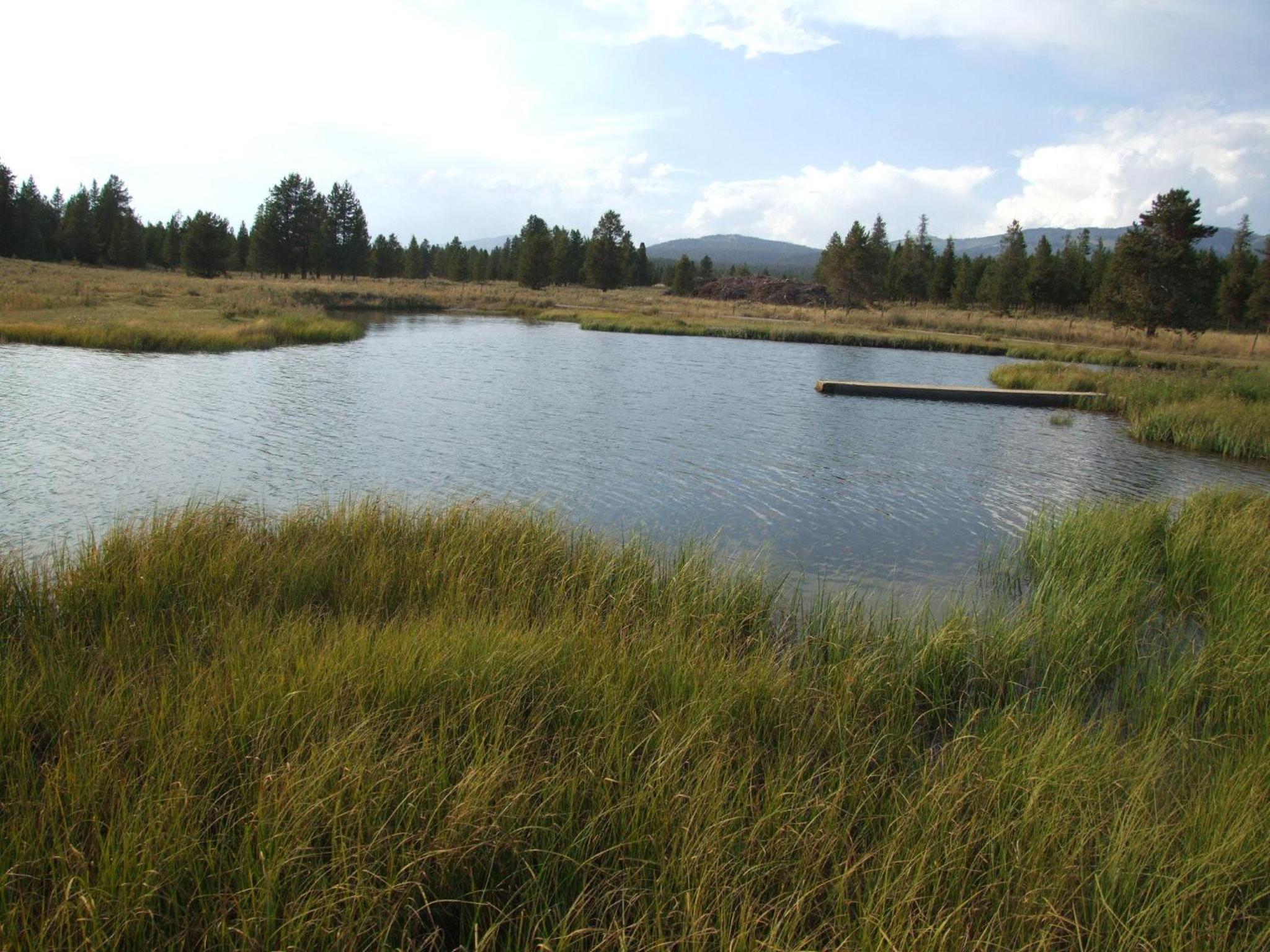 Eagle Ridge Ranch