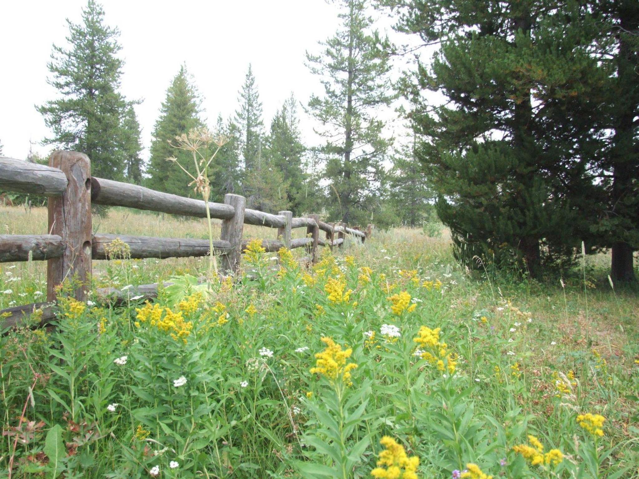 Eagle Ridge Ranch