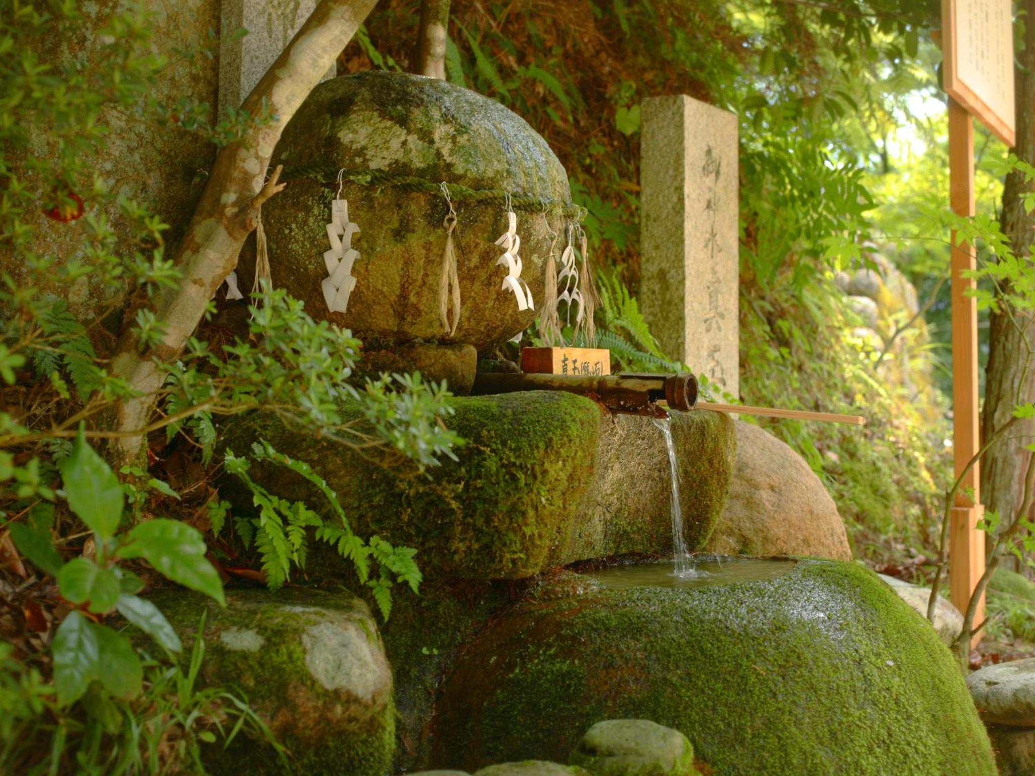 Ryotei Yamanoi