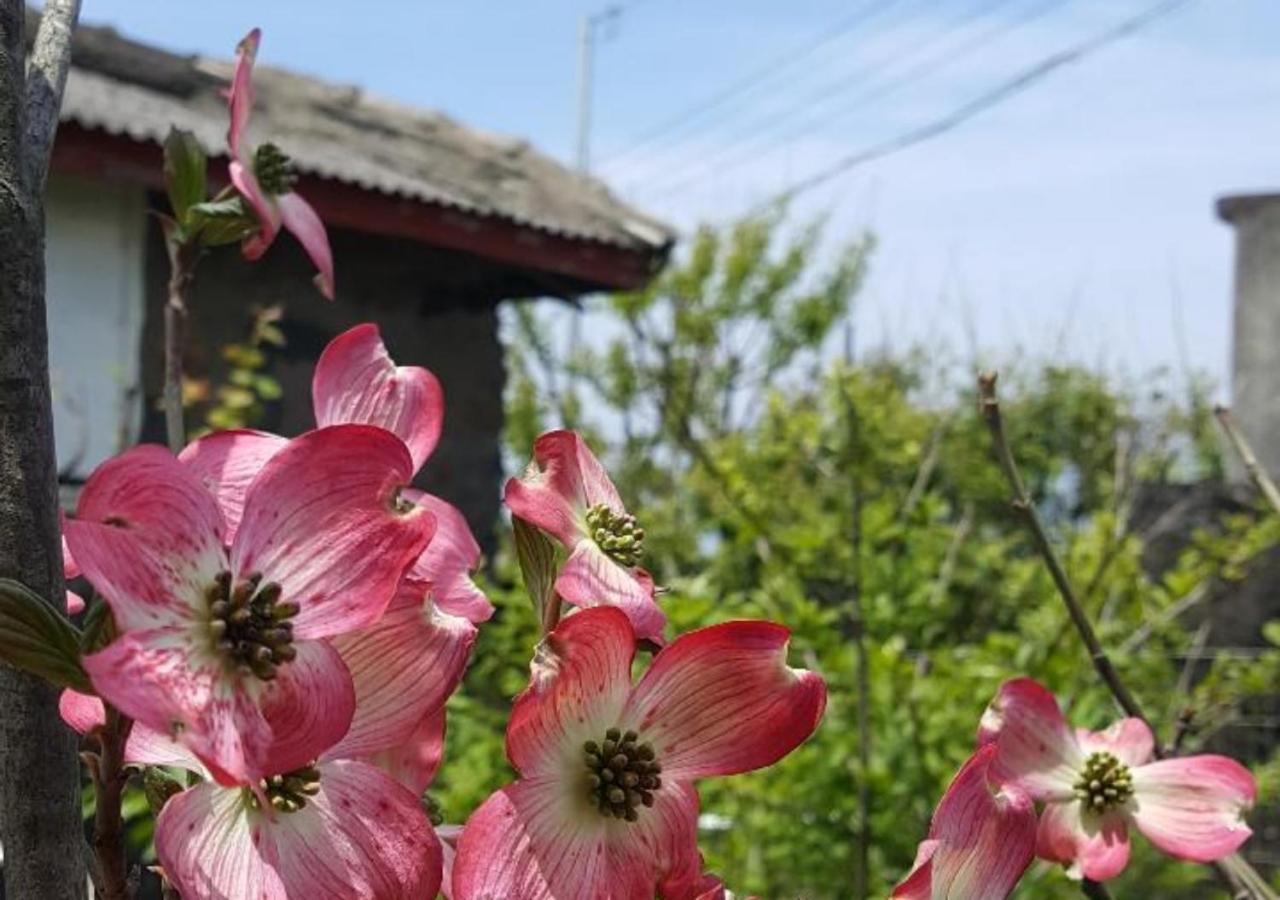 HANI Haus