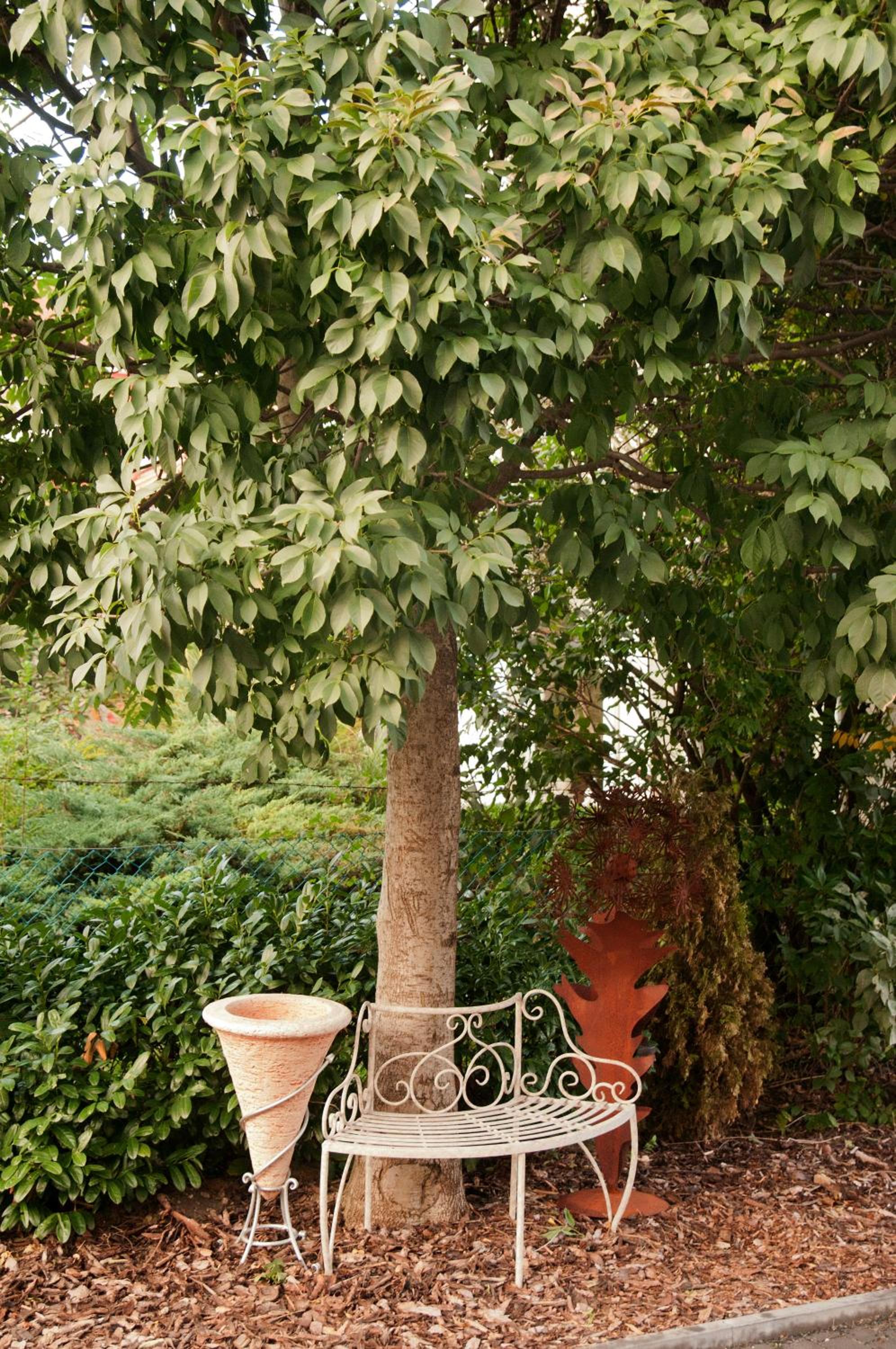 Photo 43