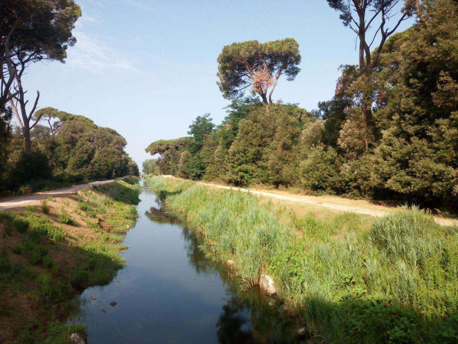 Campeggio Boscoverde, photo 64