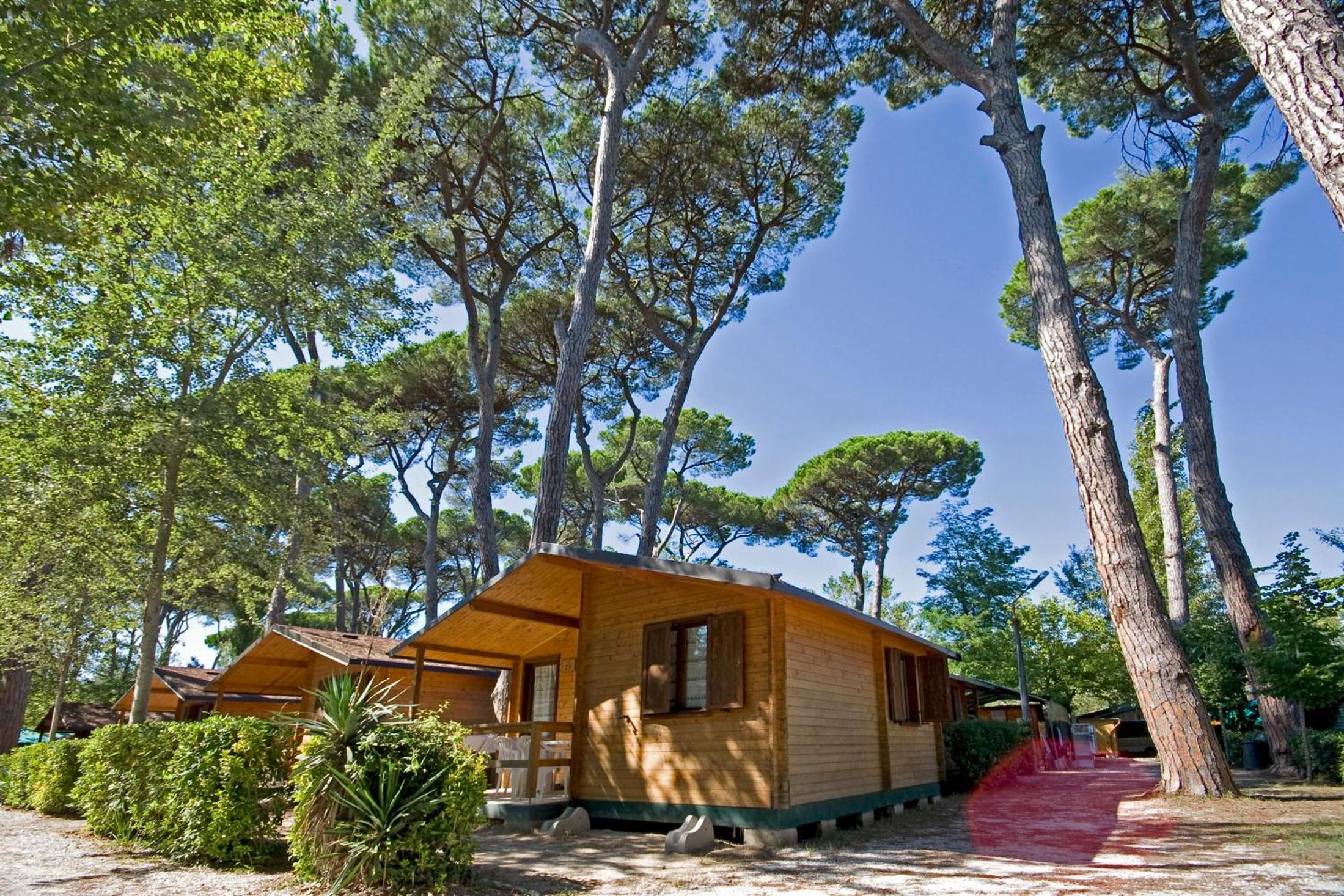 Campeggio Boscoverde, photo 29