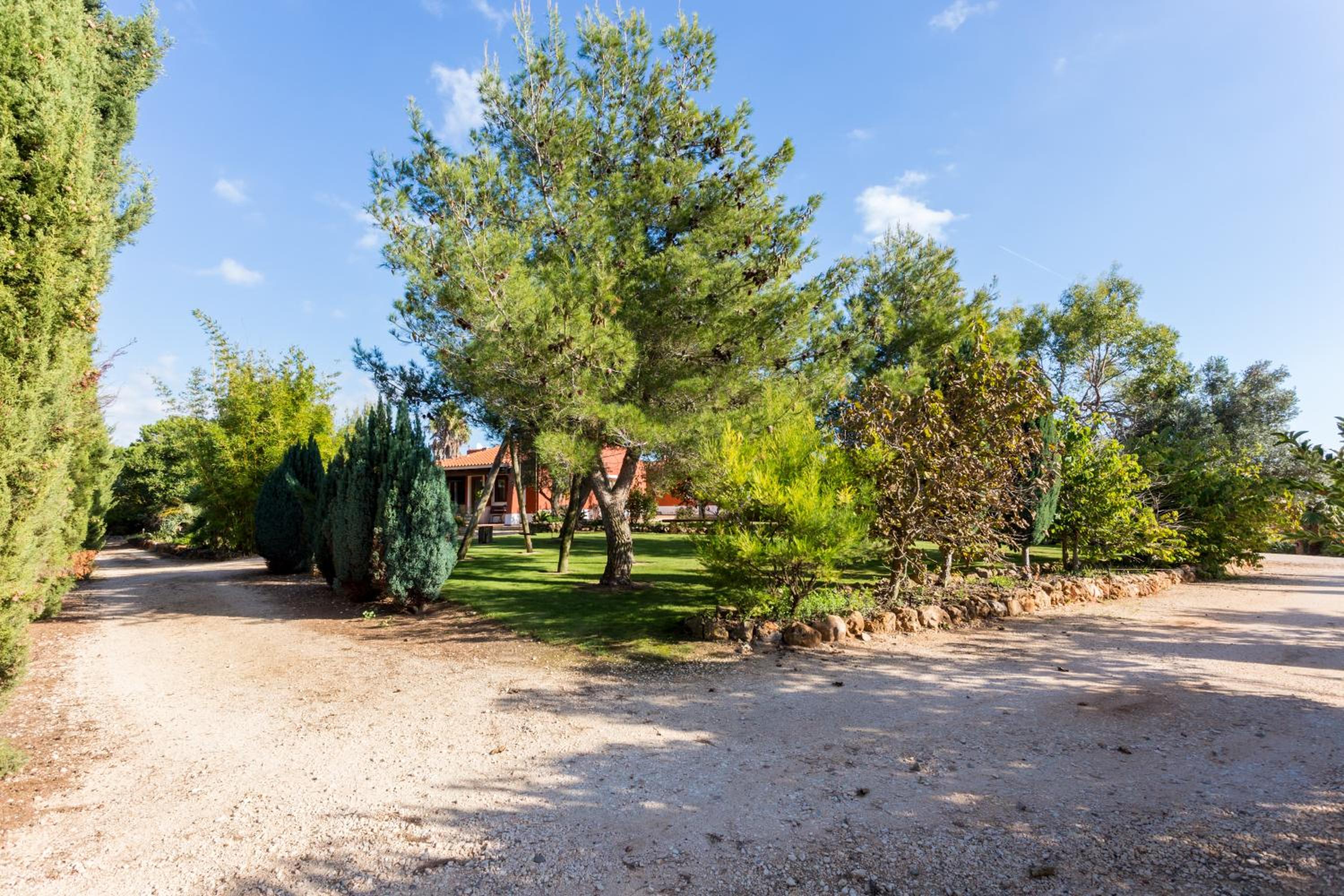 Quinta da Alquimia view 4