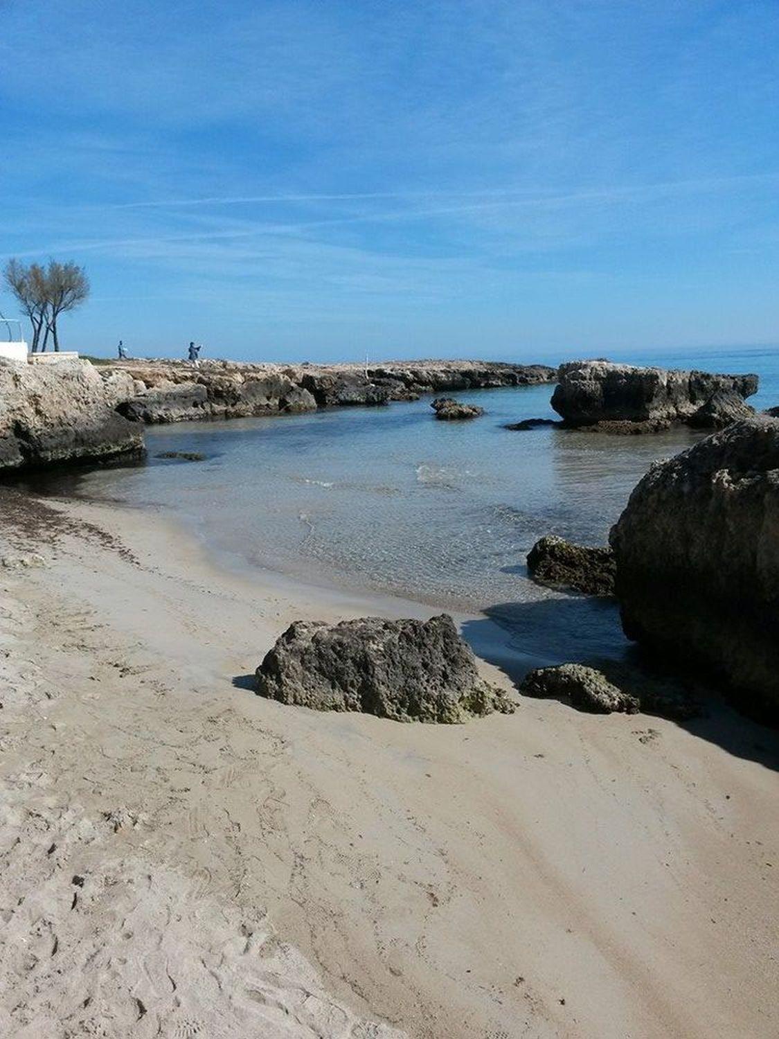 Photo 43