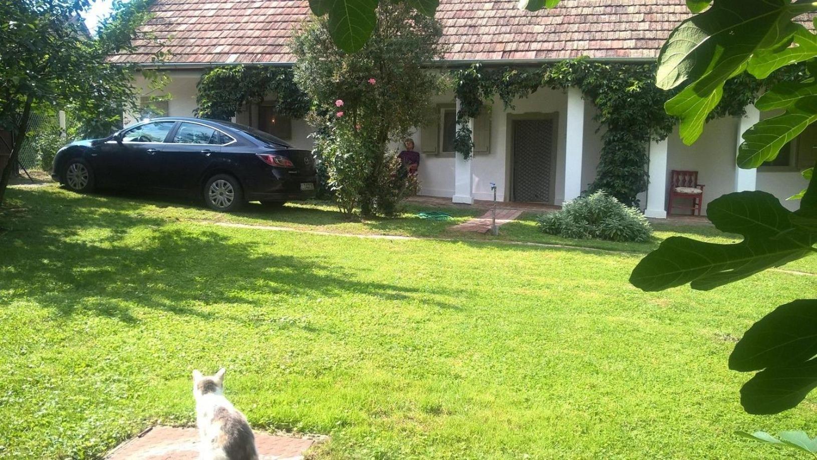 Photo 33